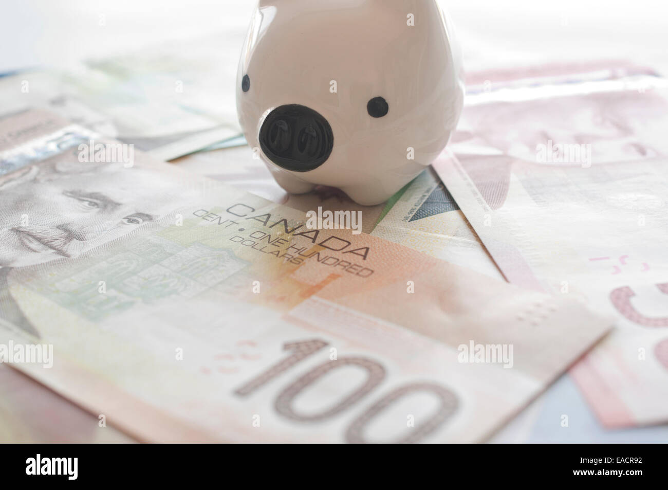 Tirelire sur fond d'argent canadien Banque D'Images