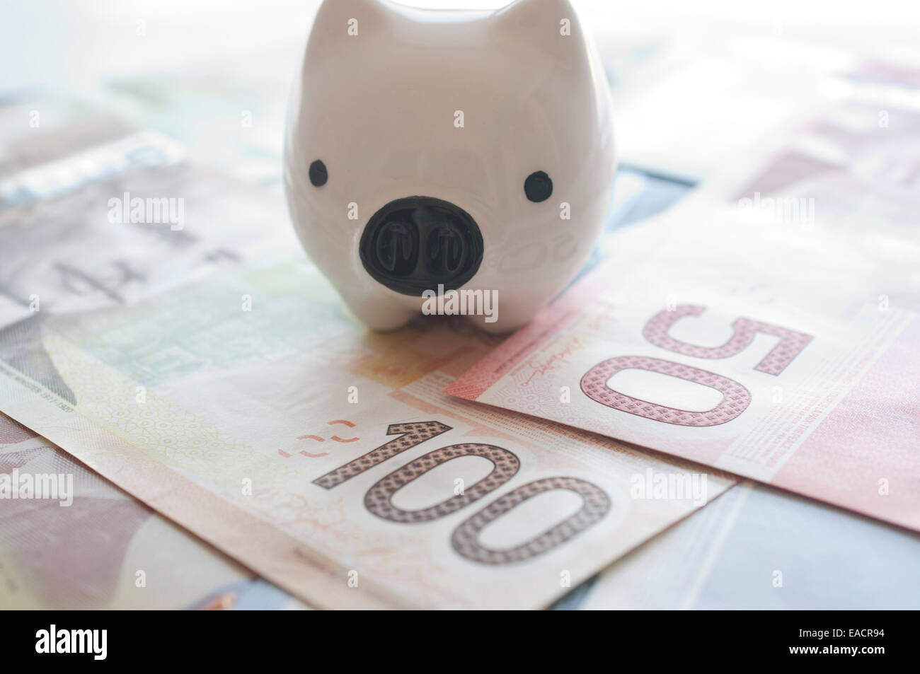 Tirelire sur fond d'argent canadien Banque D'Images