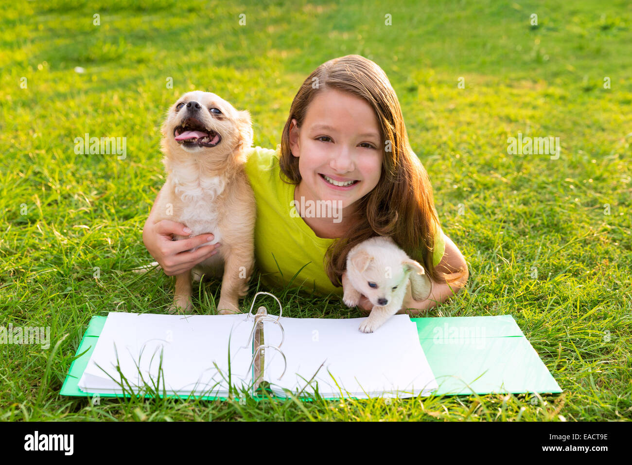 Kid girl and puppy dog faire leurs devoirs avec animaux domestiques chiuahua couché dans pelouse arrière Banque D'Images