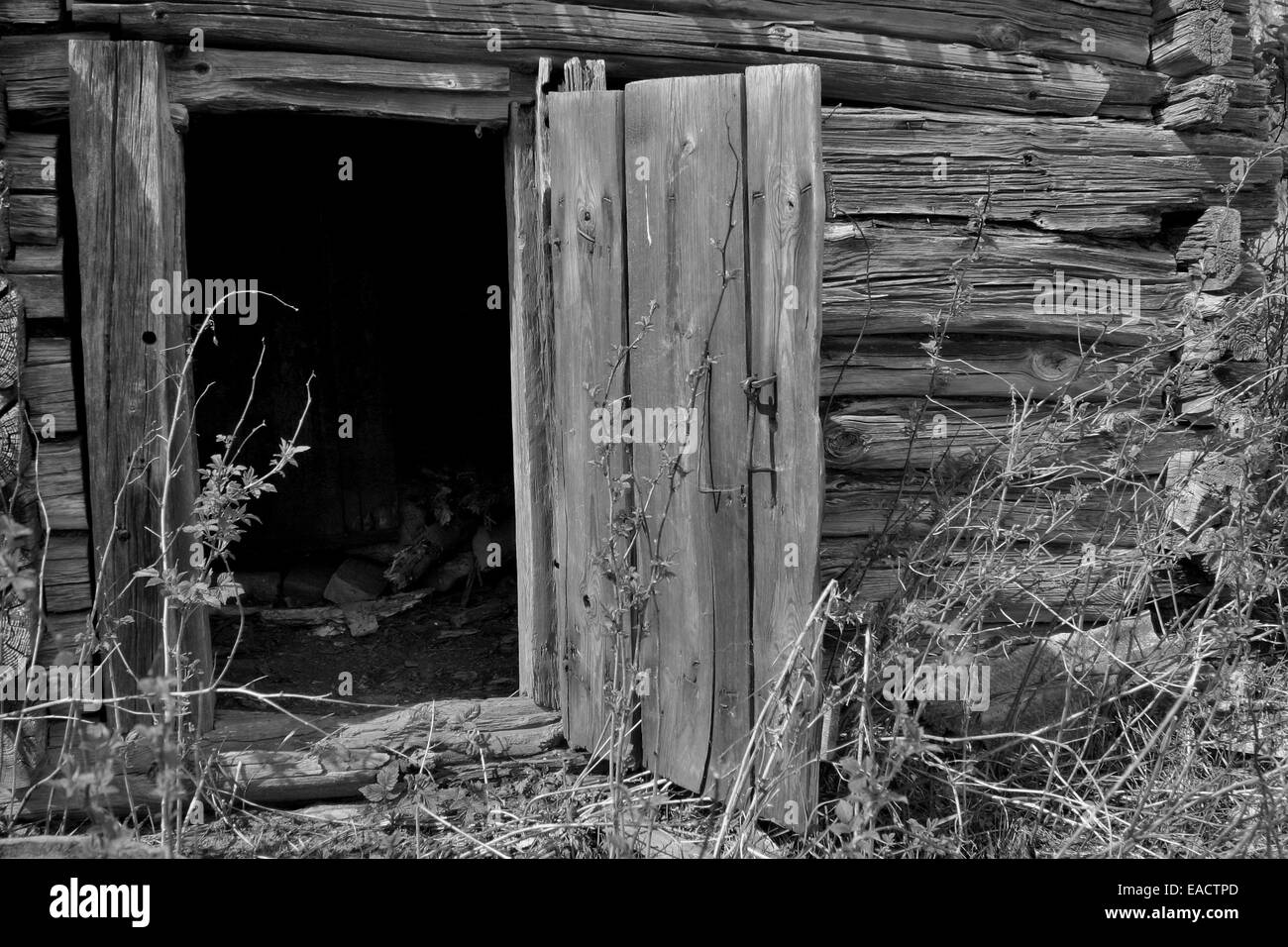 Photo noir et blanc d'une vieille porte en bois patiné et ouvert Banque D'Images