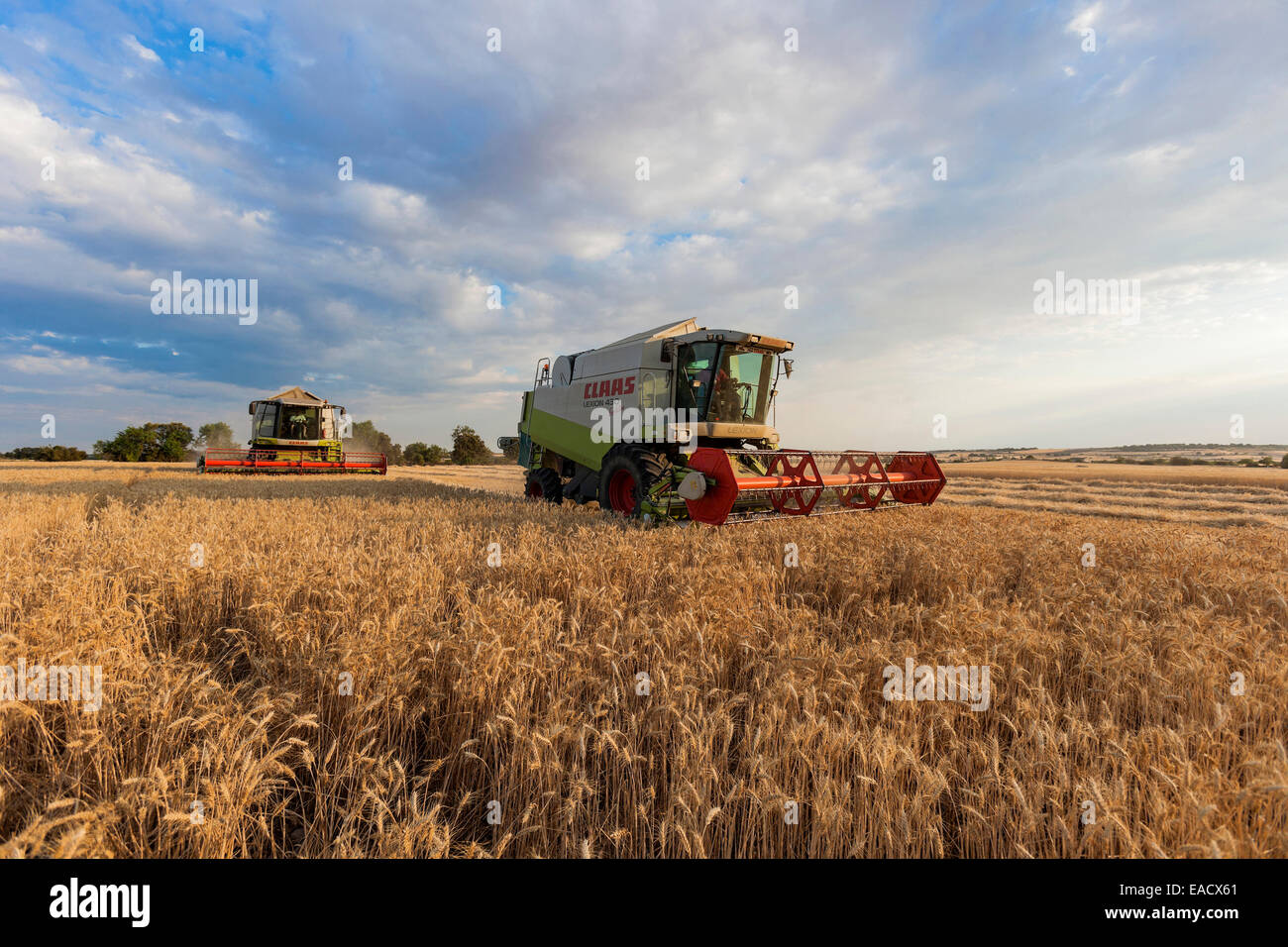 Deux combine harvester Banque D'Images