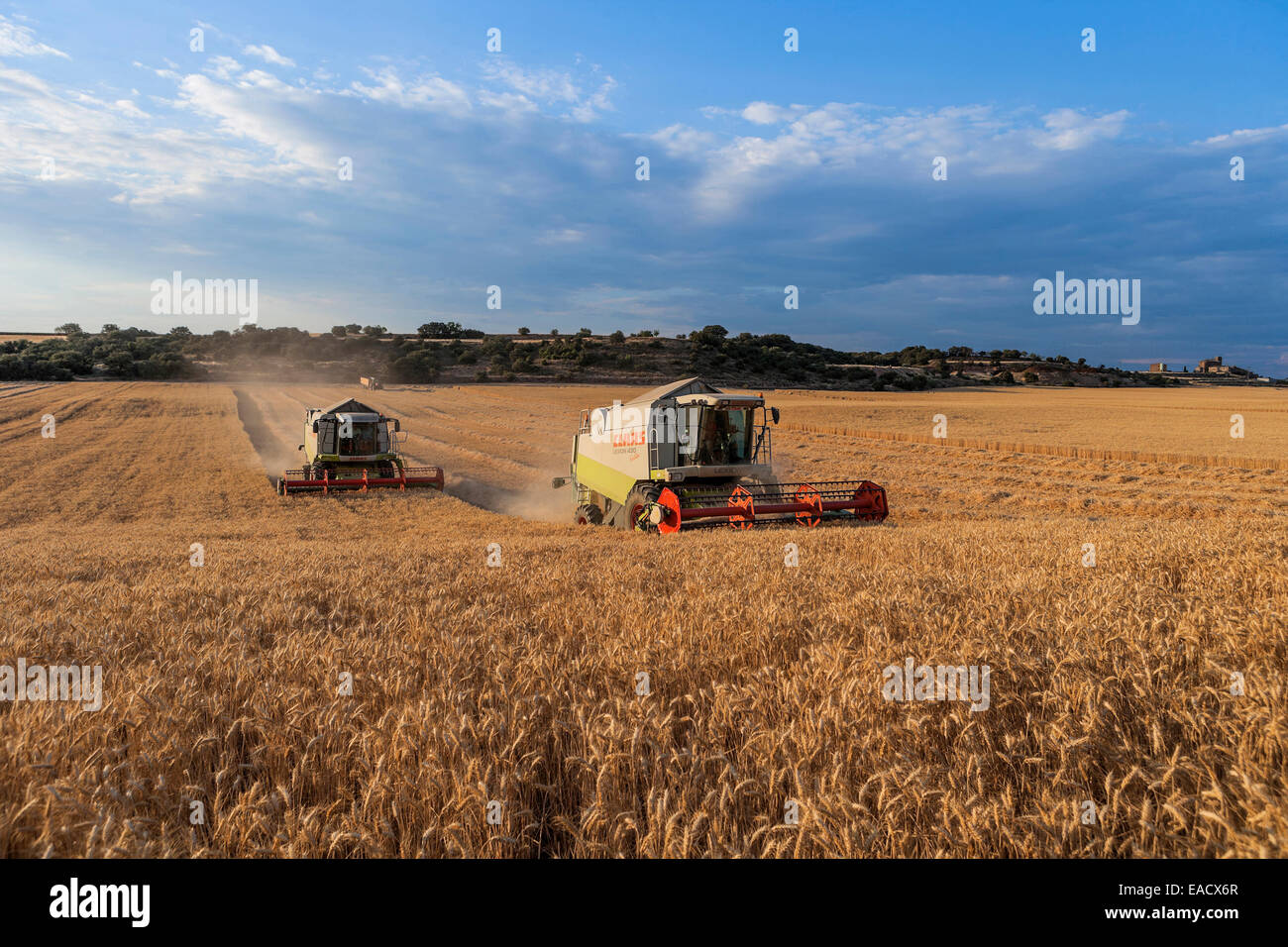 Deux combine harvester Banque D'Images