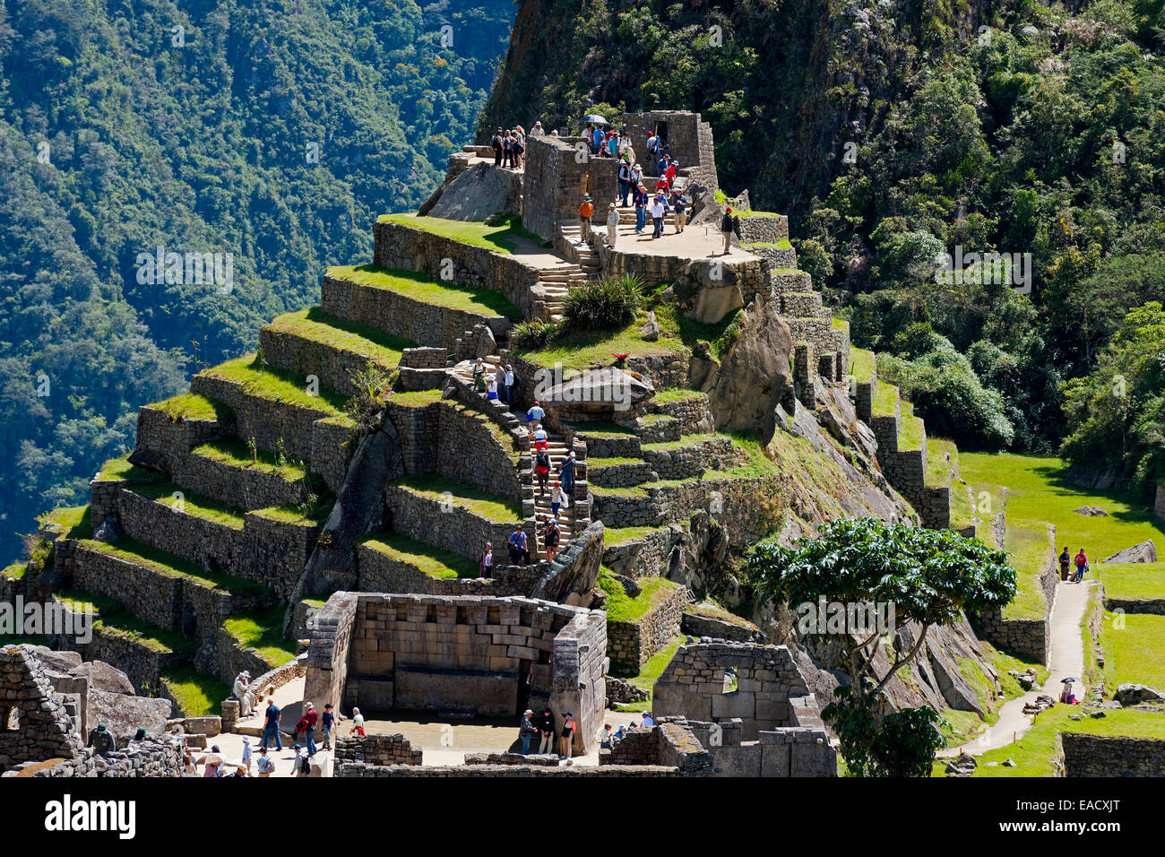 Cité des Incas, Machu Picchu, Pérou Banque D'Images