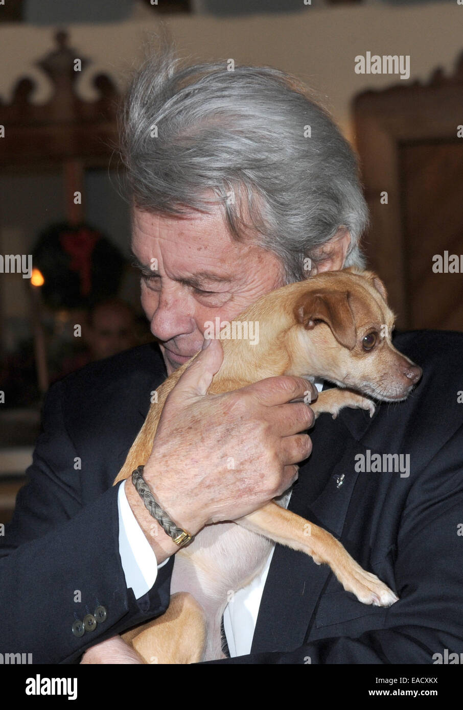 Salzbourg Autriche 11th Nov 2014 L Acteur Alain Delon Posant Avec Molly Le Chien A Un Affichage Traditionnel De Noel Du Gut Aiderbichl En Sanctuaire Animal Henndorf Pres De Salzbourg Autriche 11 Novembre