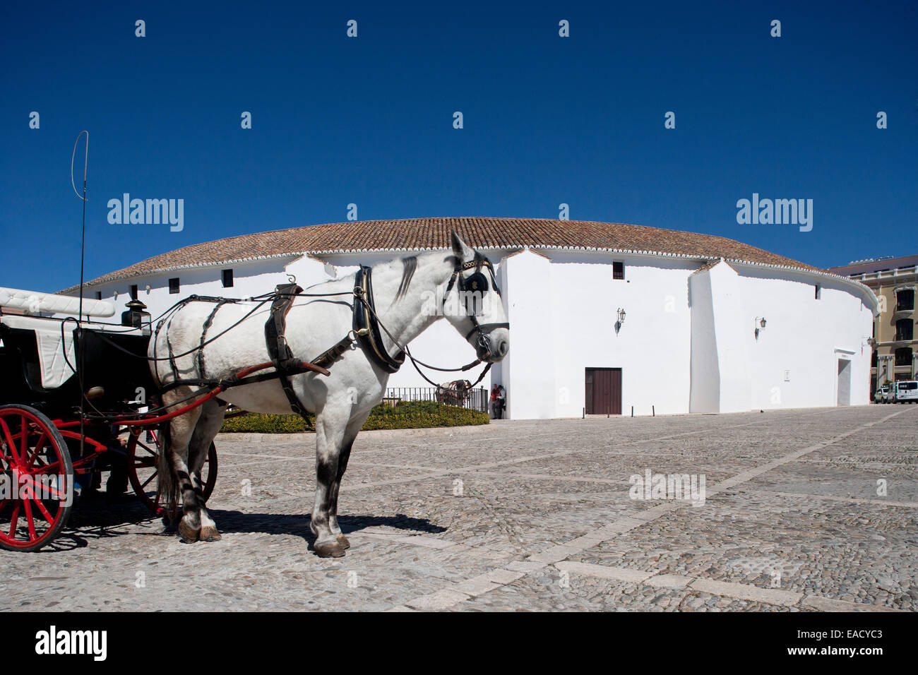 Cabine à chevaux, taureaux, Plaza Teniente Arce, Ronda, Province de Malaga, Andalousie, Espagne Banque D'Images