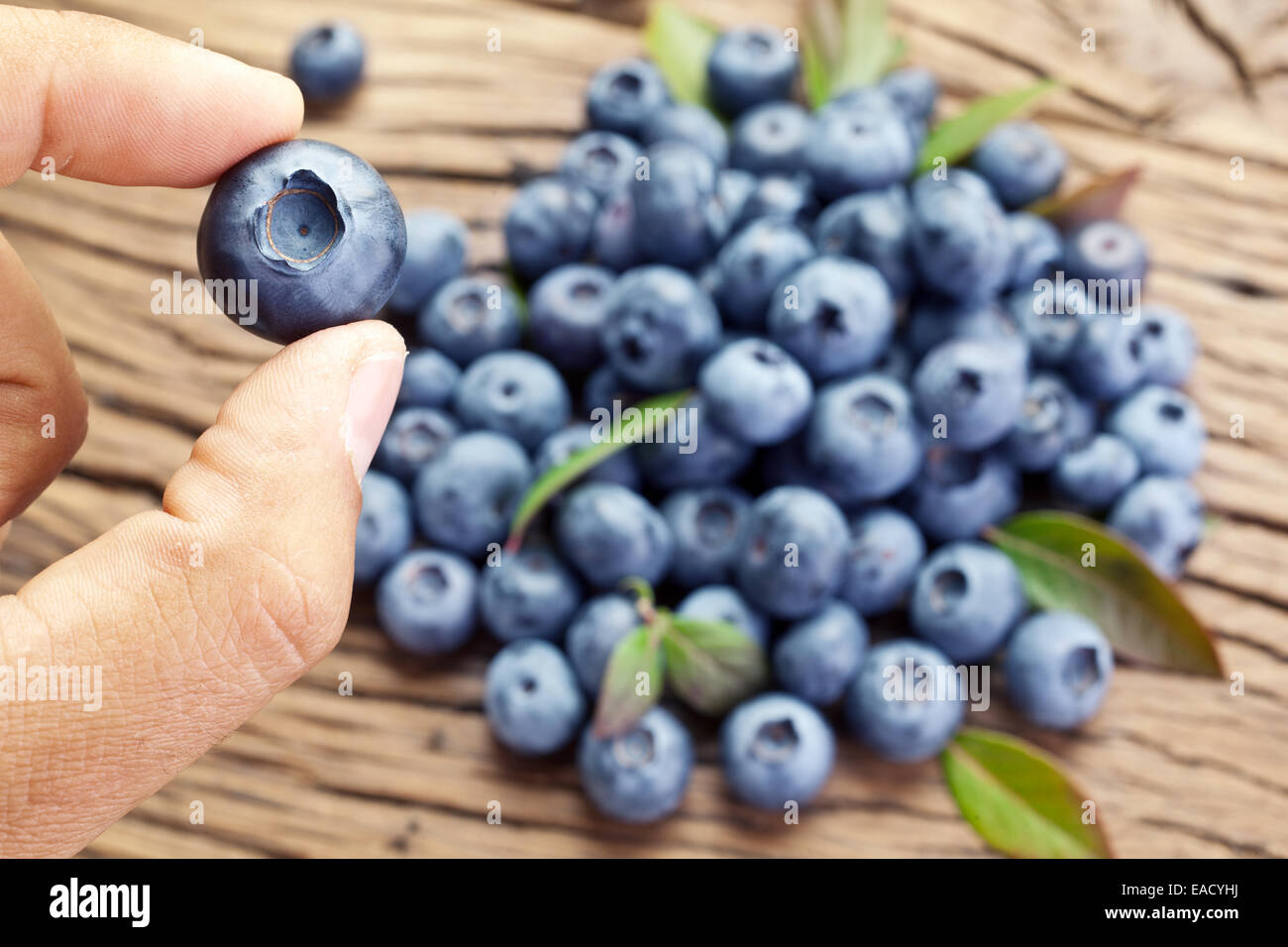 Blueberry dans la main de l'homme. Plus de bleuets vieille table en bois en arrière-plan. Banque D'Images