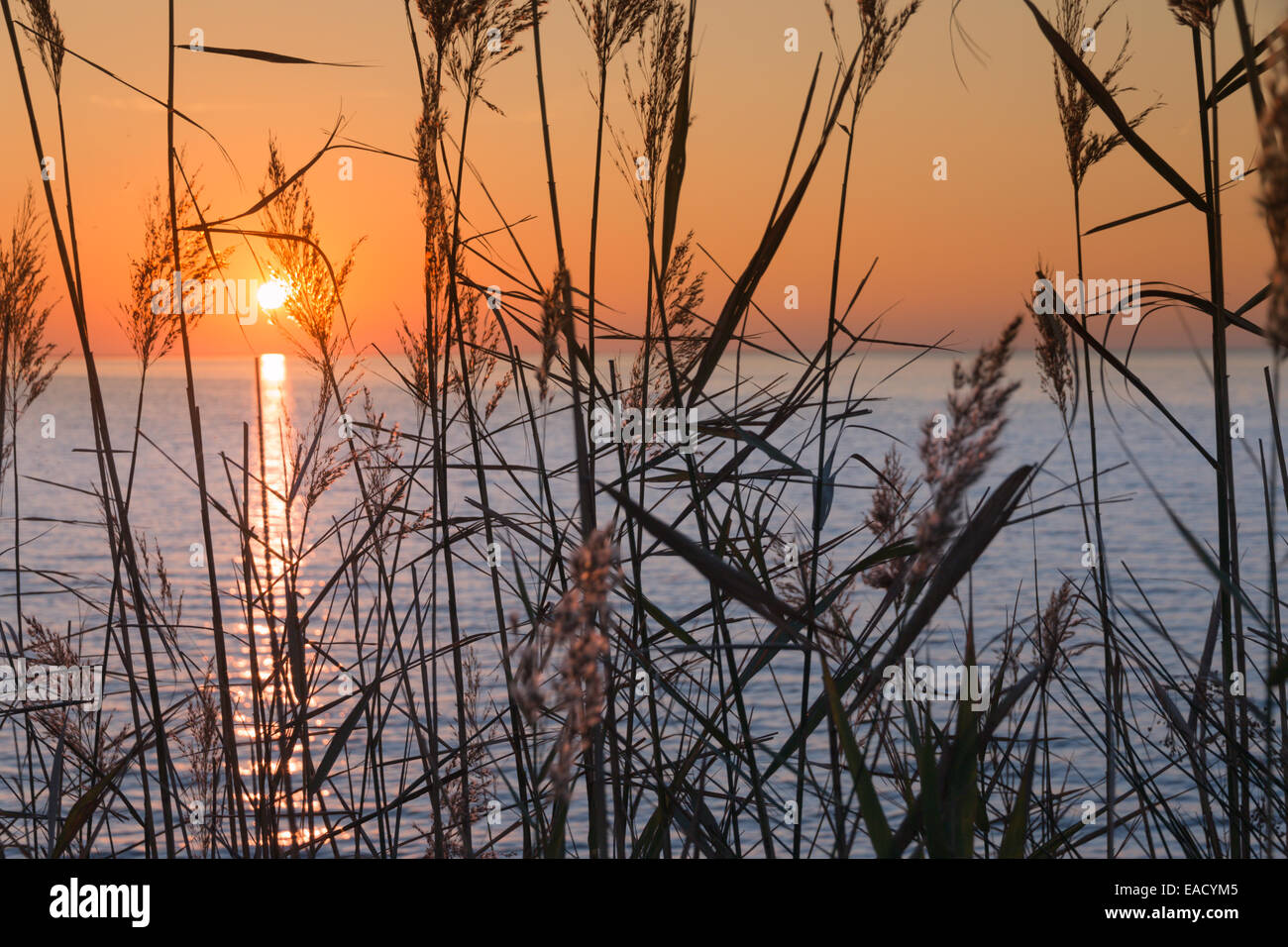Coucher de soleil en Camargue, France Banque D'Images