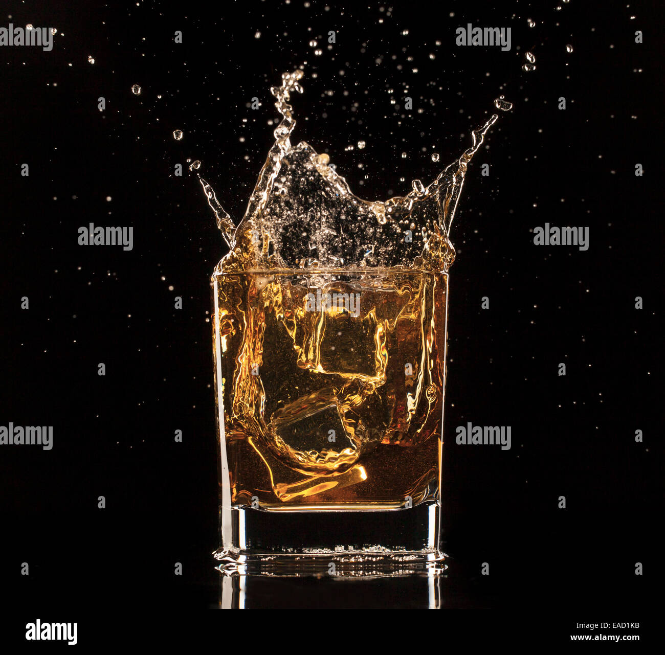 Shot de whiskey isolé avec splash sur fond noir Banque D'Images