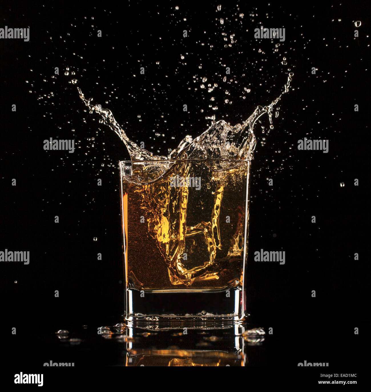 Shot de whiskey isolé avec splash sur fond noir Banque D'Images