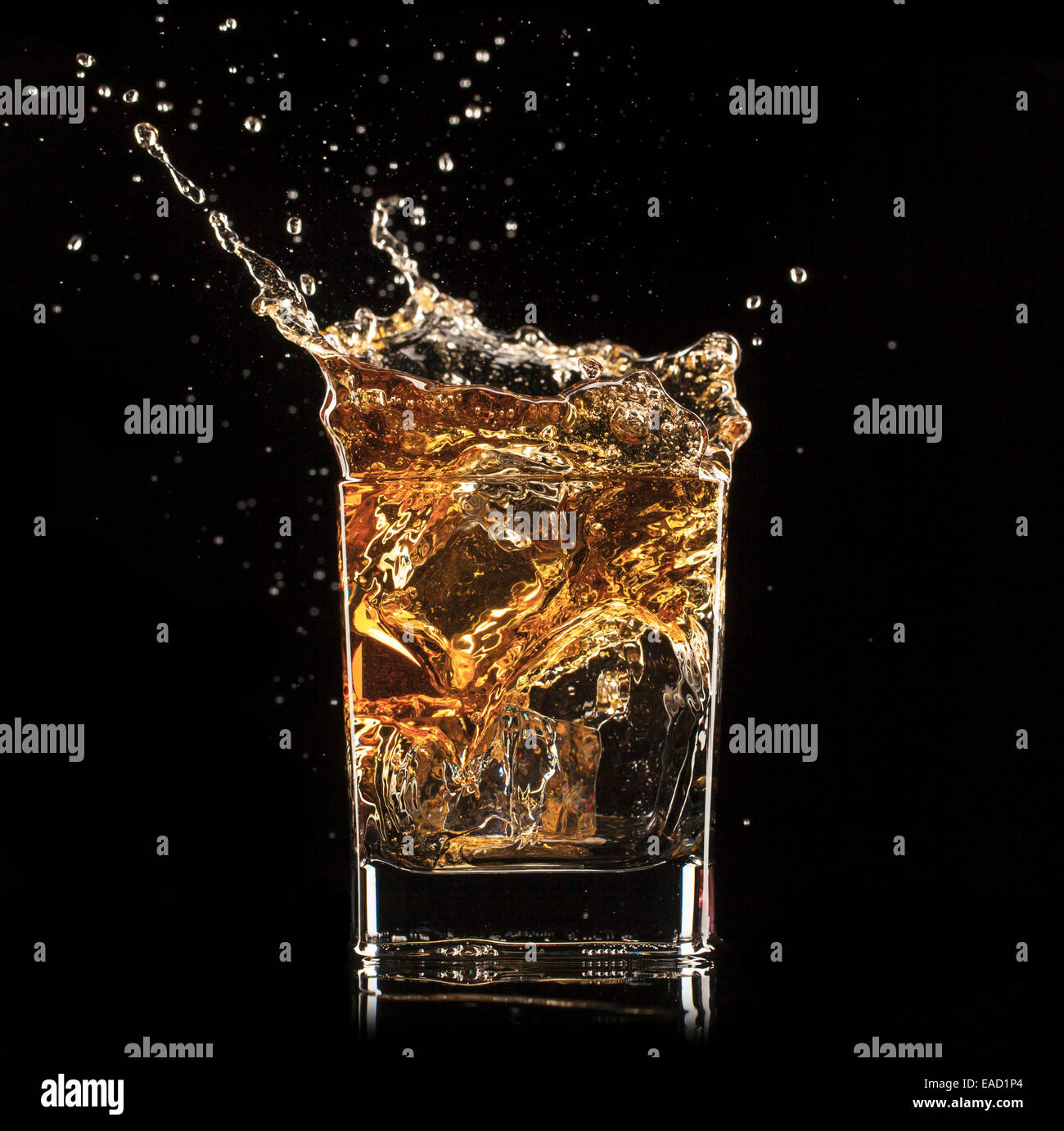 Shot de whiskey isolé avec splash sur fond noir Banque D'Images