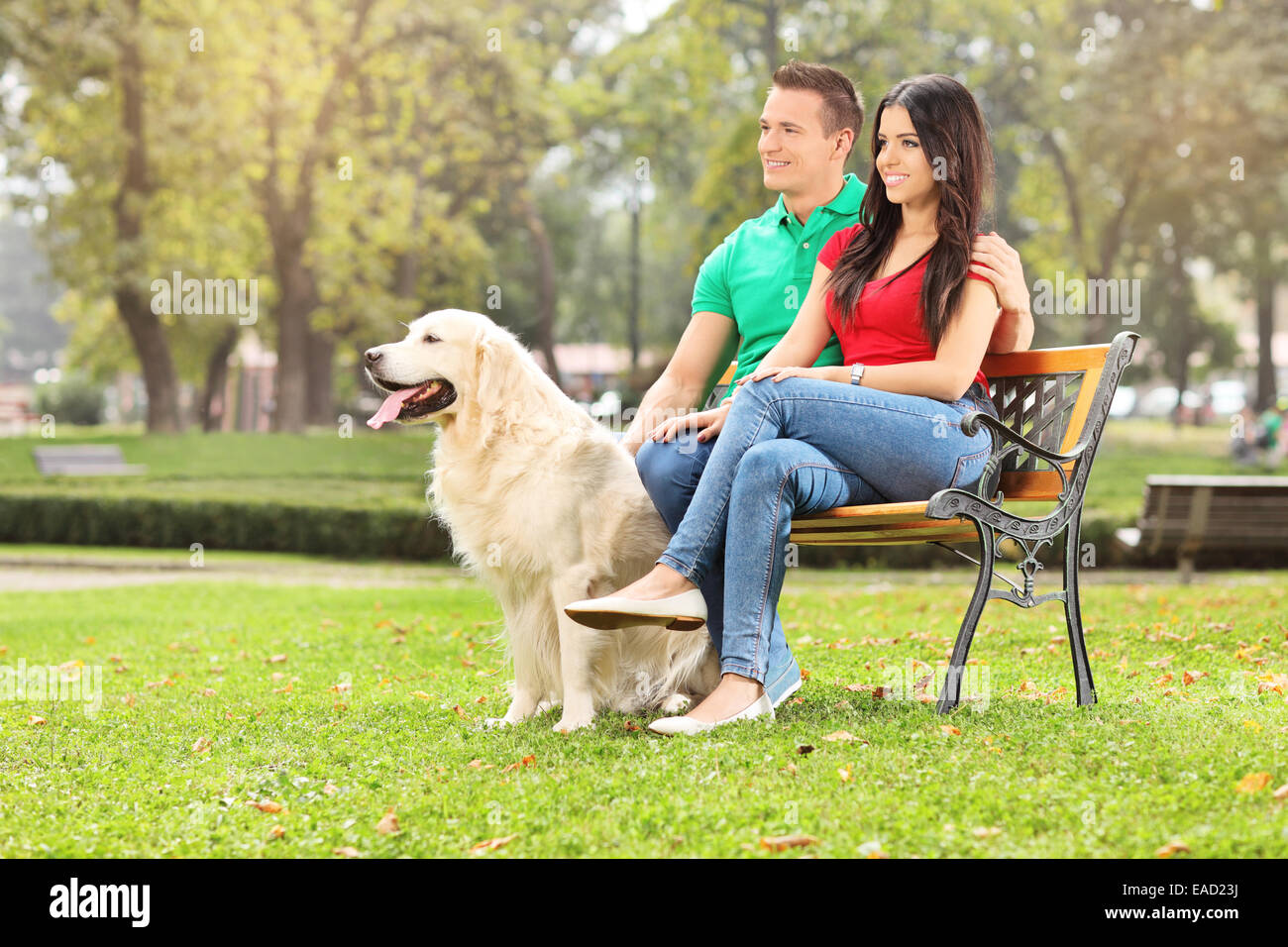 Jeune couple assis dans un parc avec un chien sur un banc en bois Banque D'Images