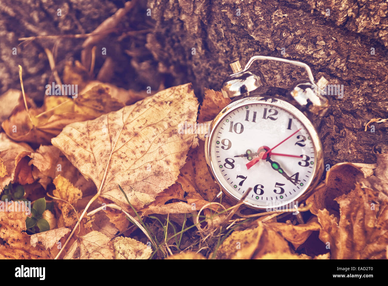 Vintage réveil en automne les feuilles sèches, passage du temps et la saison concept de changement. Image tonique avec Selective focus Banque D'Images
