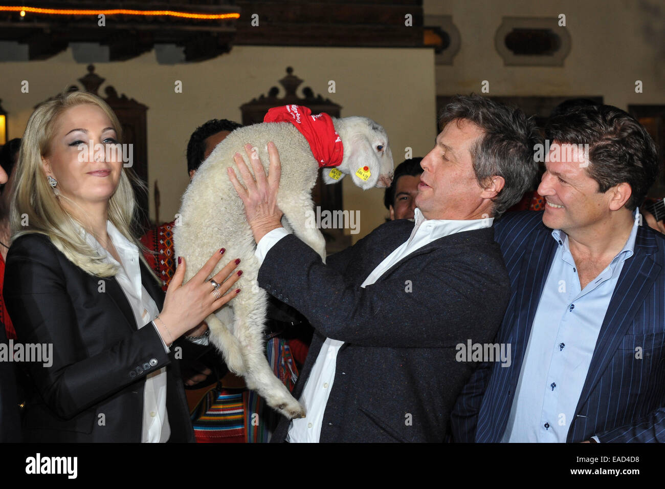 Henndorf près de Salzbourg, Autriche. 11 novembre, 2014. L'acteur britannique Hugh Grant est titulaire d'un agneau sur Novembre 11, 2014 à l'ouverture du marché de Noël à Aiderbichl Estate à Henndorf près de Salzbourg, Autriche. À gauche Kathrin Glock, épouse de l'armurier Gaston Glock et à droite l'acteur Francis Fulton Smith. Dpa : Crédit photo alliance/Alamy Live News Banque D'Images