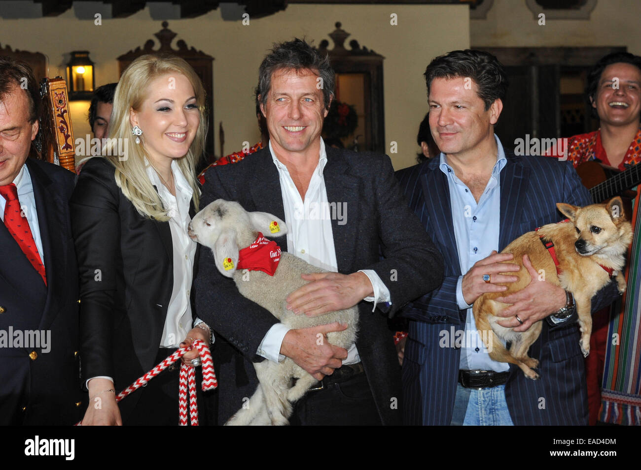 Henndorf près de Salzbourg, Autriche. 11 novembre, 2014. L'acteur britannique Hugh Grant est titulaire d'un agneau sur Novembre 11, 2014 à l'ouverture du marché de Noël à Aiderbichl Estate à Henndorf près de Salzbourg, Autriche. À gauche, Kathrin Glock, épouse d'armes amnufacturer Gaston Glock et l'acteur Francis Fulton Smith tenant un chien à droite. Dpa : Crédit photo alliance/Alamy Live News Banque D'Images