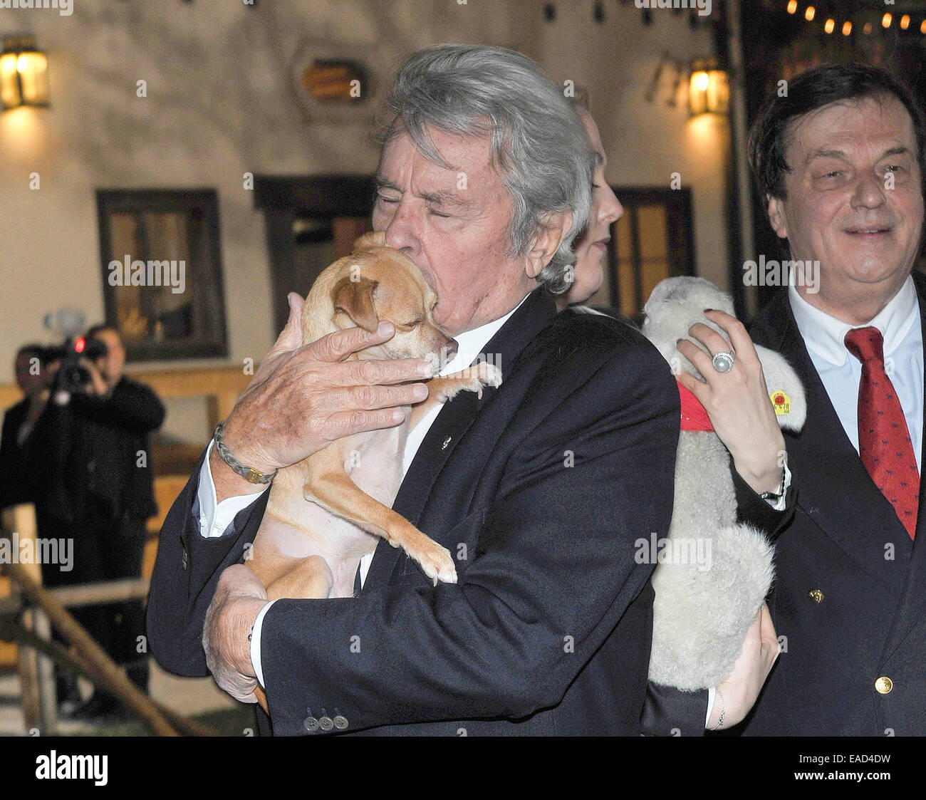 Henndorf près de Salzbourg, Autriche. 11 novembre, 2014. L'acteur français Alain Delon est titulaire d'un chien le 11 novembre 2014 à l'ouverture du marché de Noël à Aiderbichl Estate à Henndorf près de Salzbourg, Autriche. Dpa : Crédit photo alliance/Alamy Live News Banque D'Images