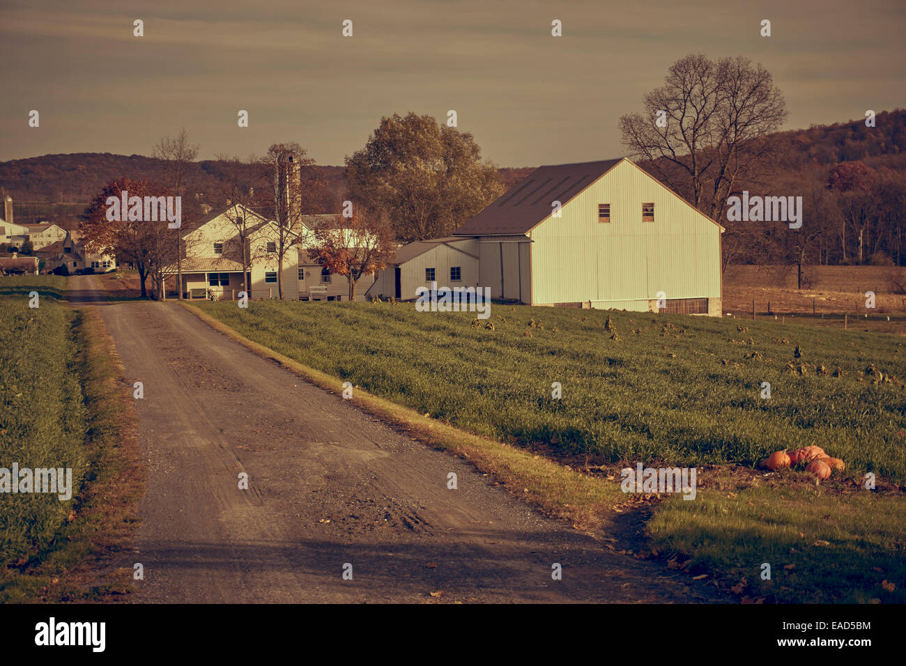Ferme locale, la fin de l'automne, Bowmansville, Pennsylvania, USA Banque D'Images