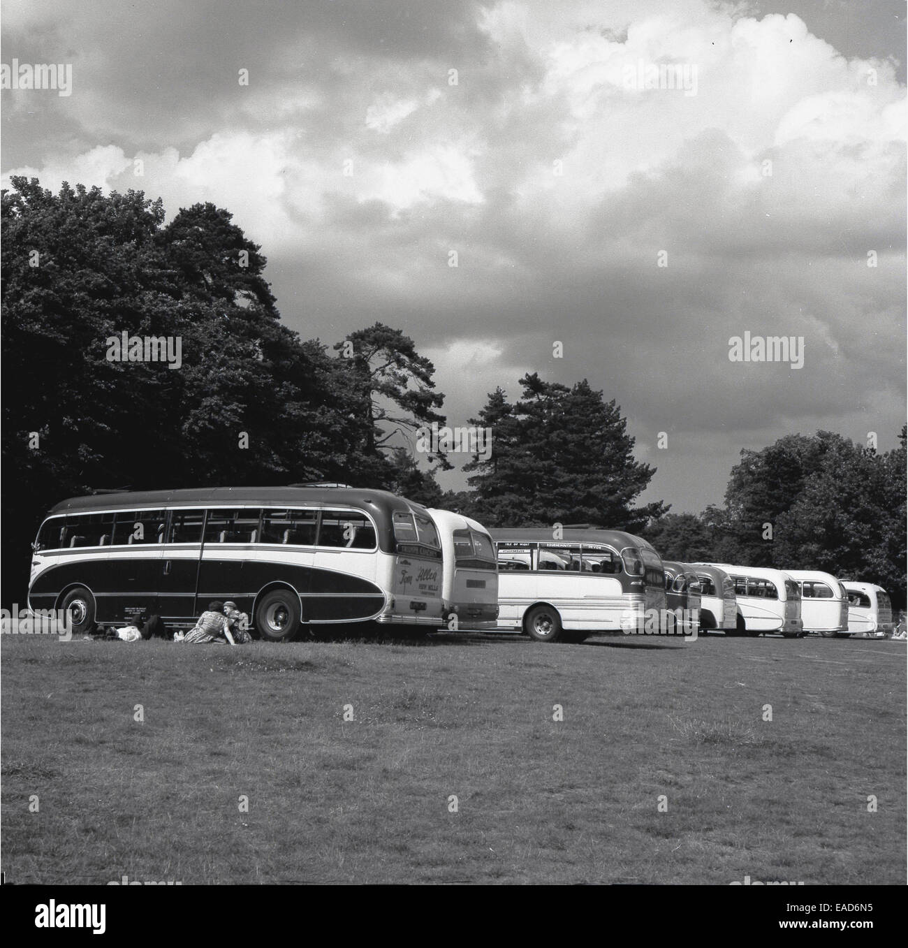 Historique. Années 1950, la ligne d'autocars de tourisme dans un champ. Banque D'Images