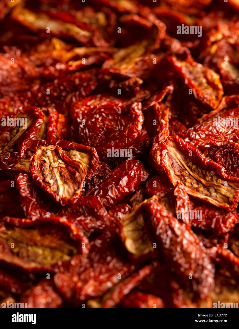 Tomate, Lycopersicon esculentum, Red sujet. Banque D'Images