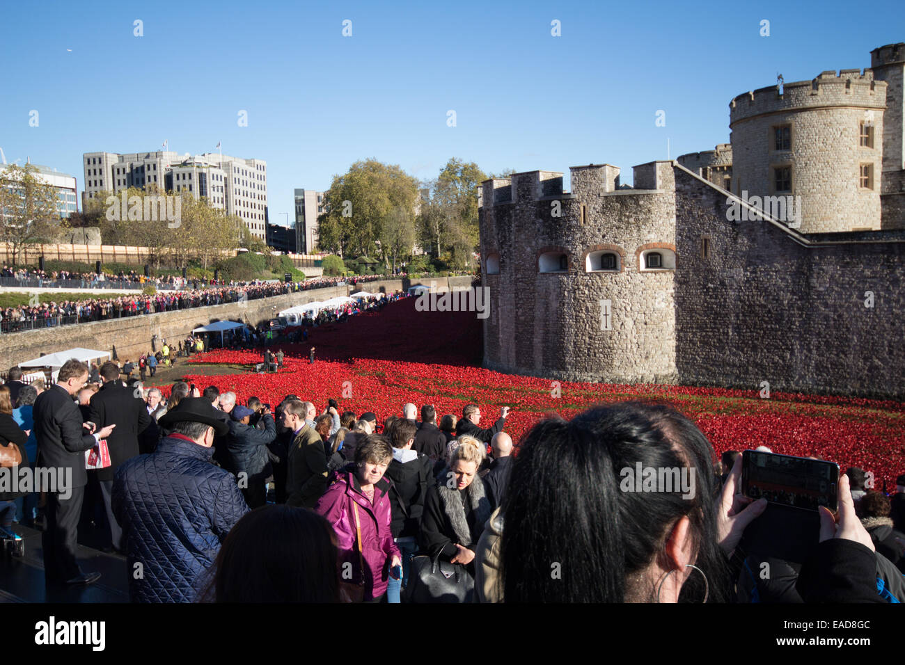 12 novembre 2014. Les bénévoles, regardée par les grandes foules, commencer à démanteler l'installation d'art coquelicot céramique Banque D'Images