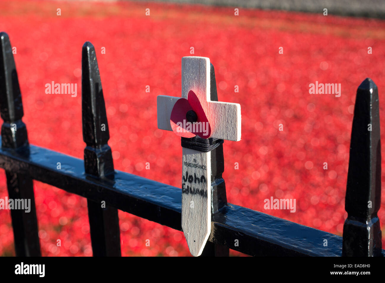 12 novembre 2014. Les bénévoles, regardée par les grandes foules, commencer à démanteler l'installation d'art coquelicot céramique Banque D'Images