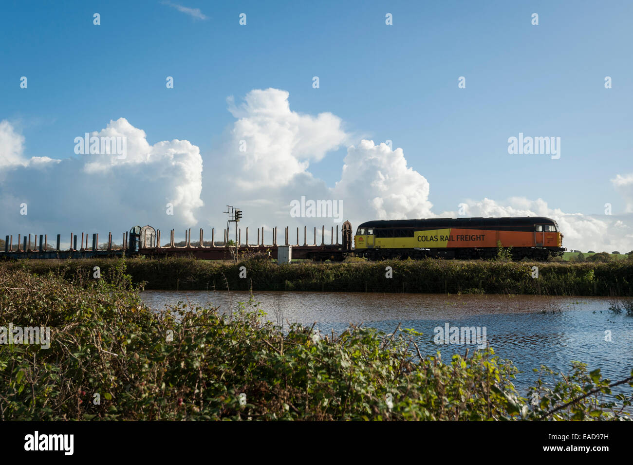 Un Colas Rail Freight train passe champs inondés près de Rewe, Exeter, Devon, UK, où la rivière d'Anthracite éclater ses banques après il Banque D'Images