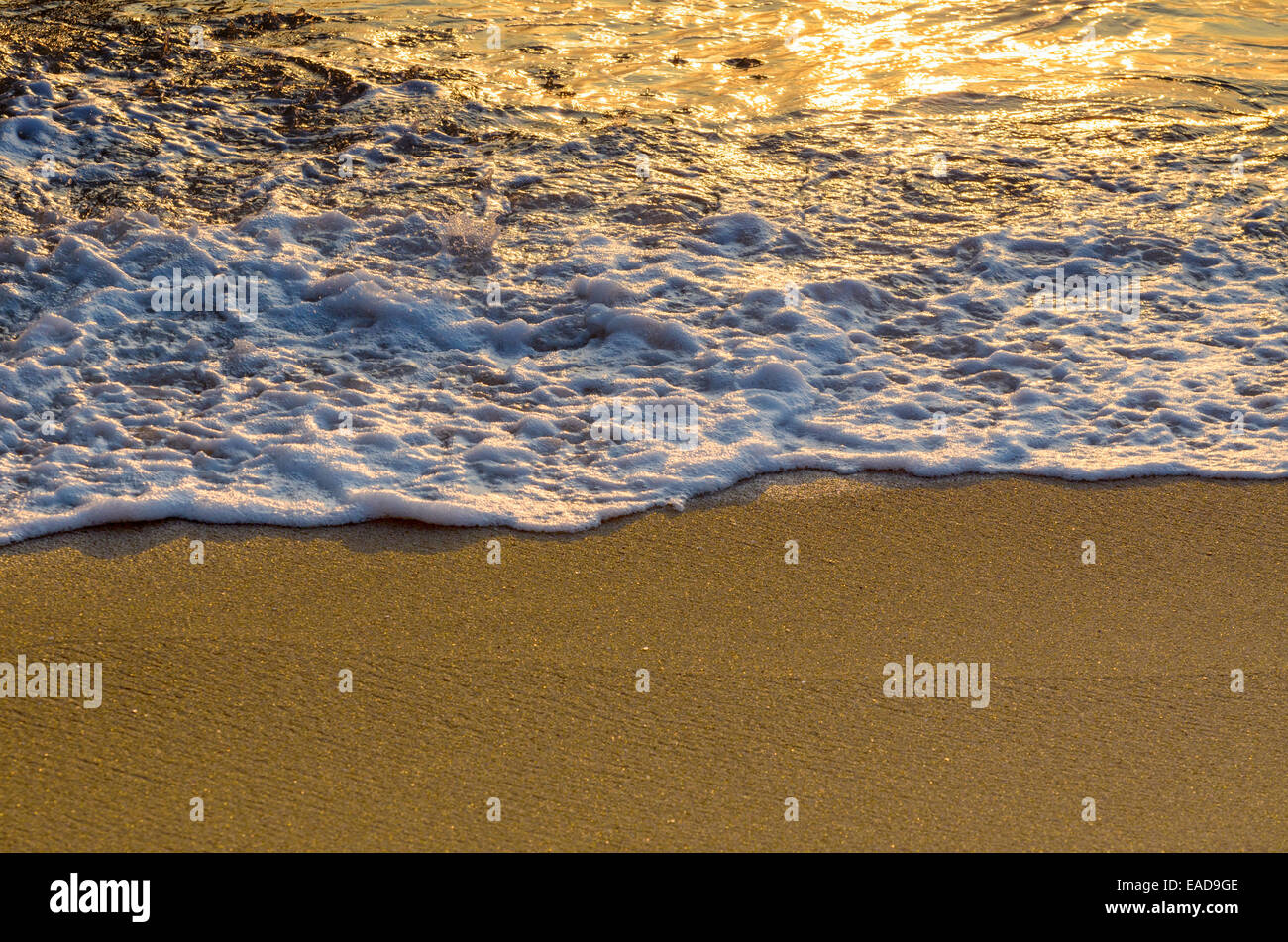 Belle douces vagues sur la plage le matin Banque D'Images