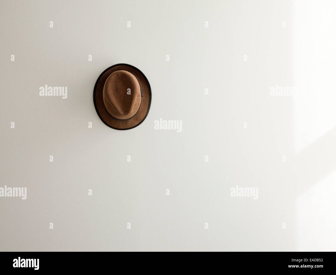 Les velours marron chapeau sur mur blanc. Banque D'Images