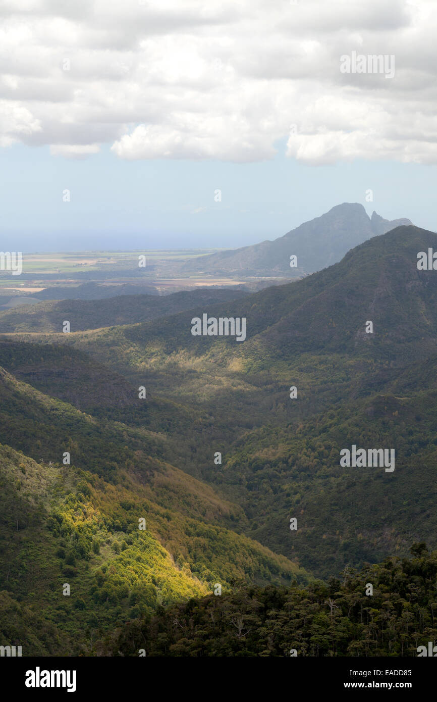 Vue sur la forêt tropicale, le parc national des gorges de rivière noire, ile Maurice Banque D'Images