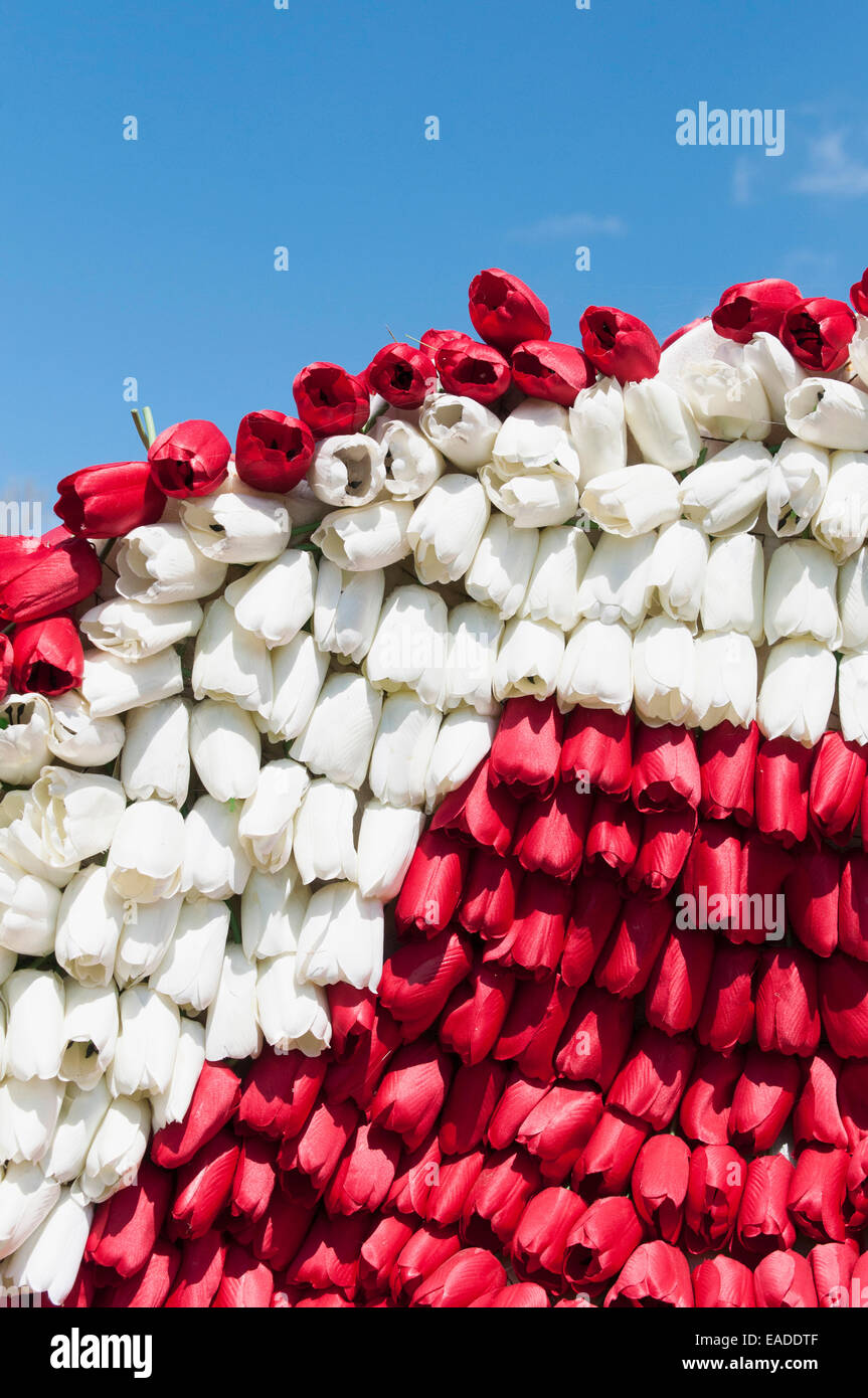 , L'objet rouge, fond blanc. Banque D'Images