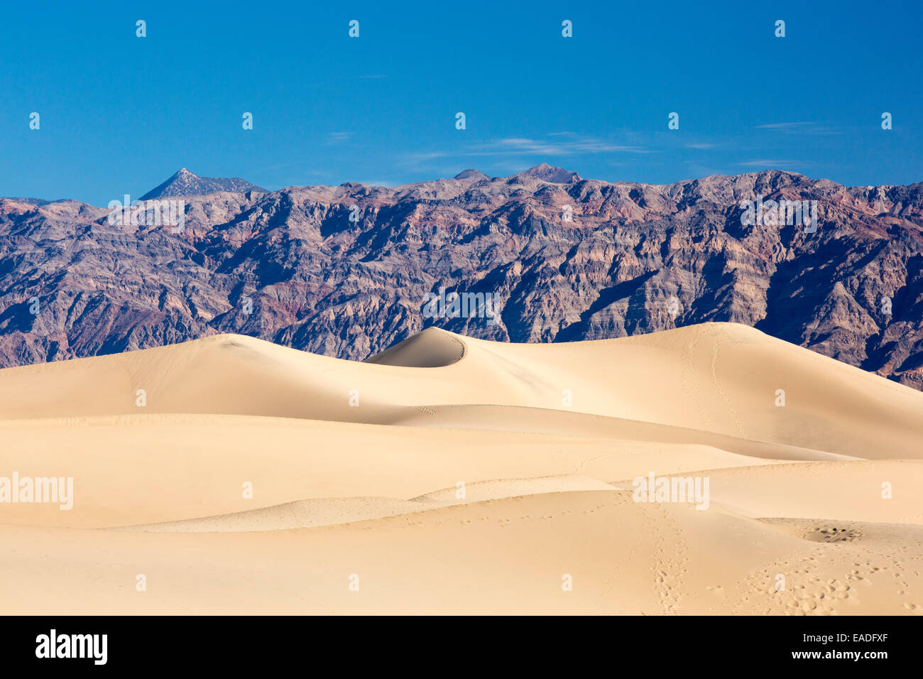 Le mesquite flat dunes dans la vallée de la mort qui est le plus faible, le plus chaud, le plus sec aux Etats-Unis, avec une pluviométrie annuelle moyenne d'environ 2 pouces, certaines années, il ne reçoit pas de pluie du tout. Banque D'Images