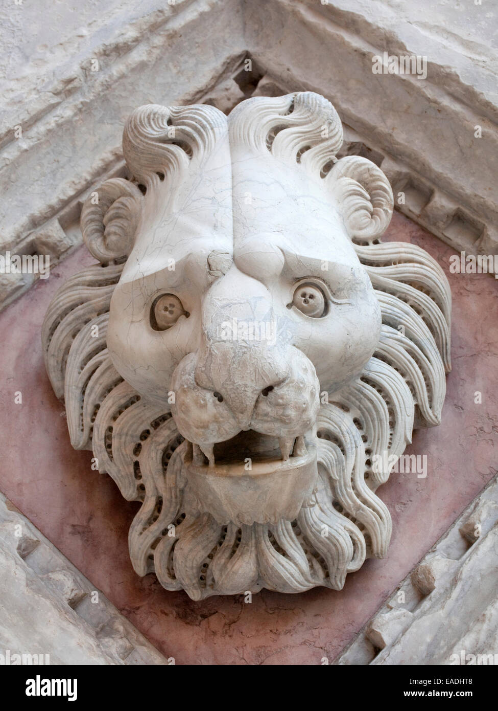 En détail de tête sculptée de lion sur l'Eglise à Sienne Banque D'Images