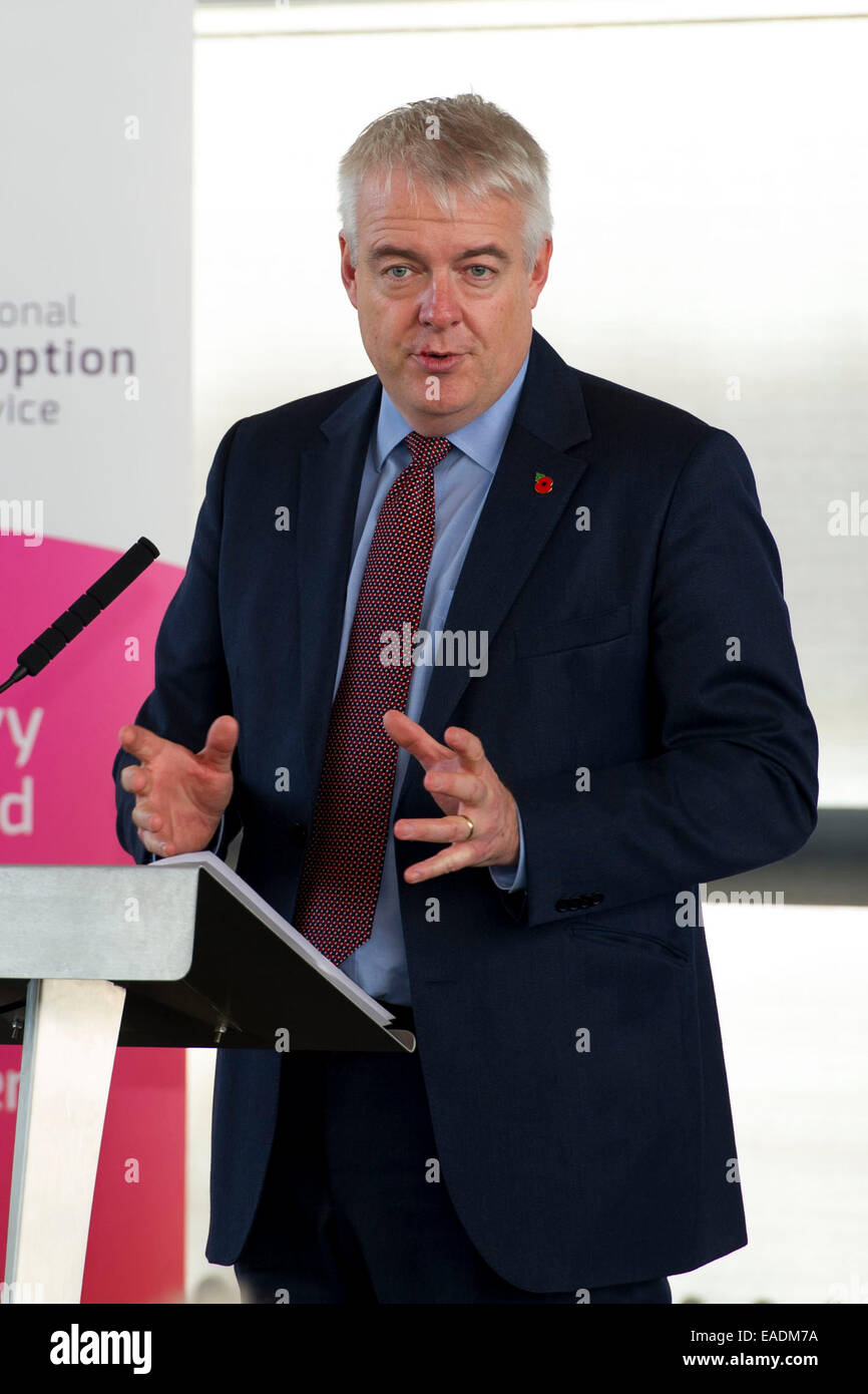 Premier Ministre du Pays de Galles Carwyn Jones AM. Banque D'Images