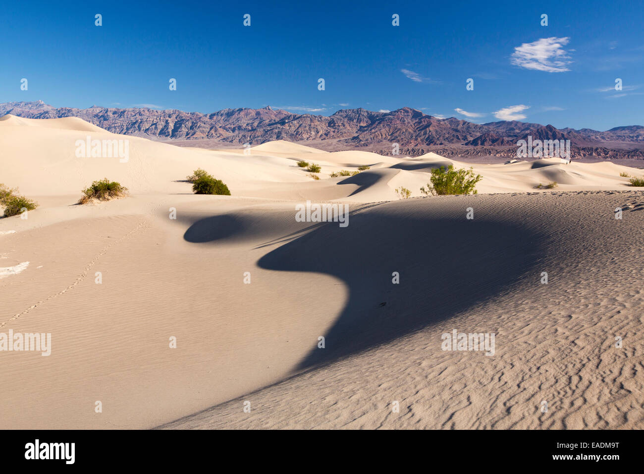 Le mesquite flat dunes dans la vallée de la mort qui est le plus faible, le plus chaud, le plus sec aux Etats-Unis, avec une moyenne annuelle rainf Banque D'Images