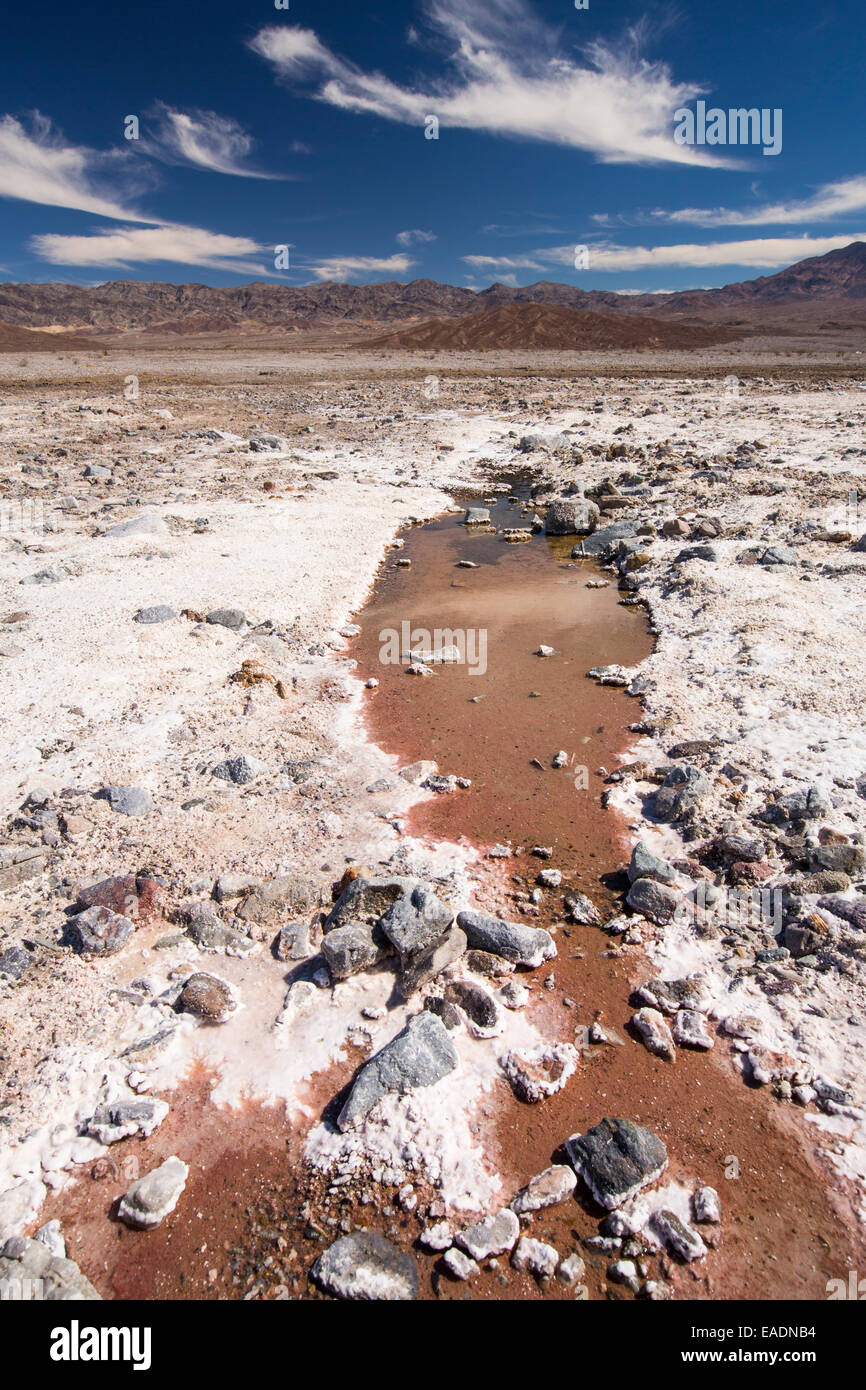 Les ruisseaux saline dans la vallée de la mort qui est le plus faible, le plus chaud, le plus sec aux Etats-Unis, avec une pluviométrie annuelle moyenne d'environ 2 pouces, certaines années, il ne reçoit pas de pluie du tout. Banque D'Images