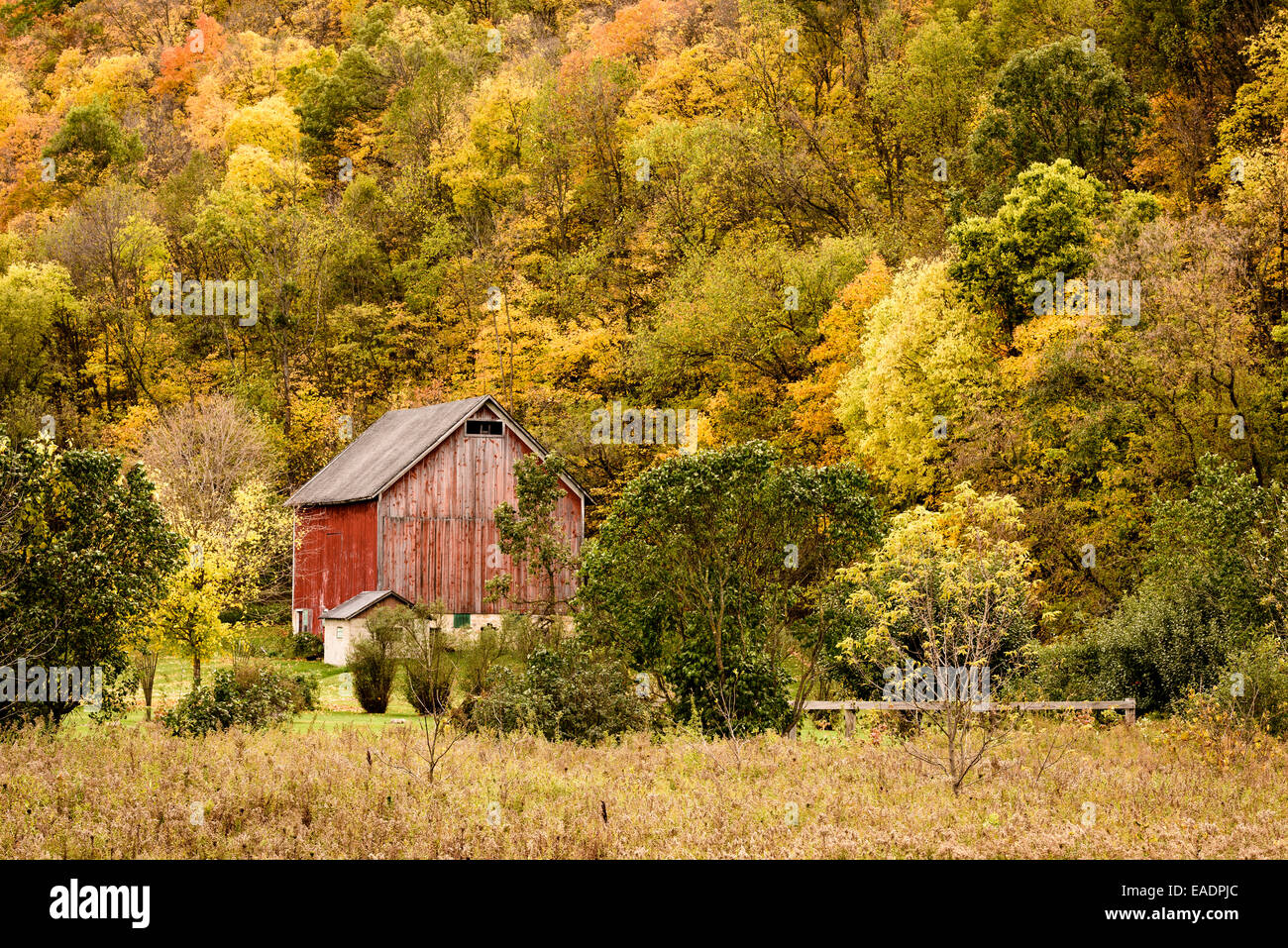 Grange rouge contre le flanc de couleur d'automne dans le centre du Wisconsin. Banque D'Images