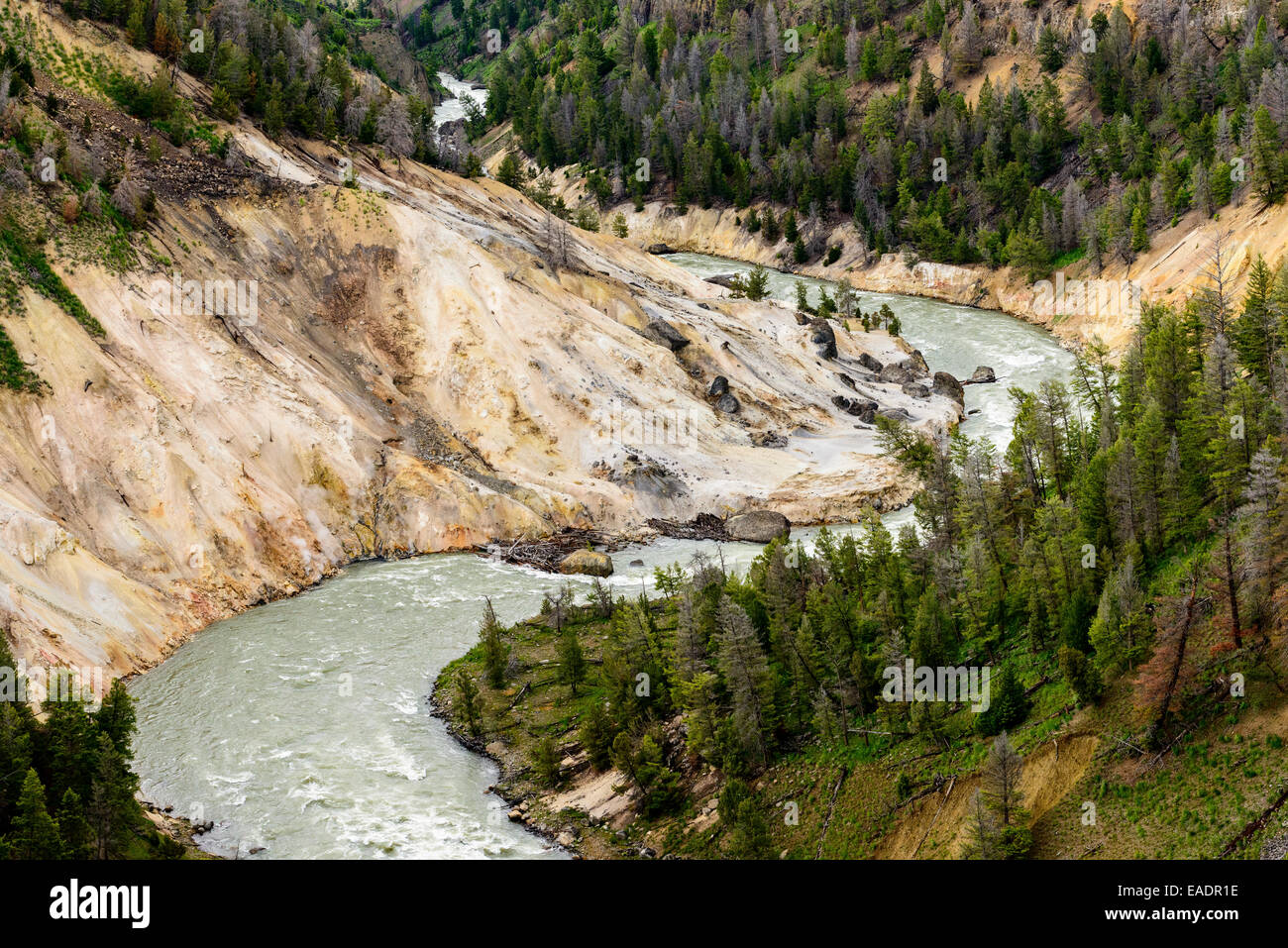Yellowstone River de la calcite Springs oublier dans le Parc National de Yellowstone. Banque D'Images