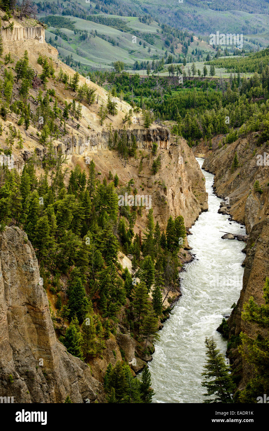 Le passage de la rivière Yellowstone de calcite Springs oublier dans le Parc National de Yellowstone. Banque D'Images