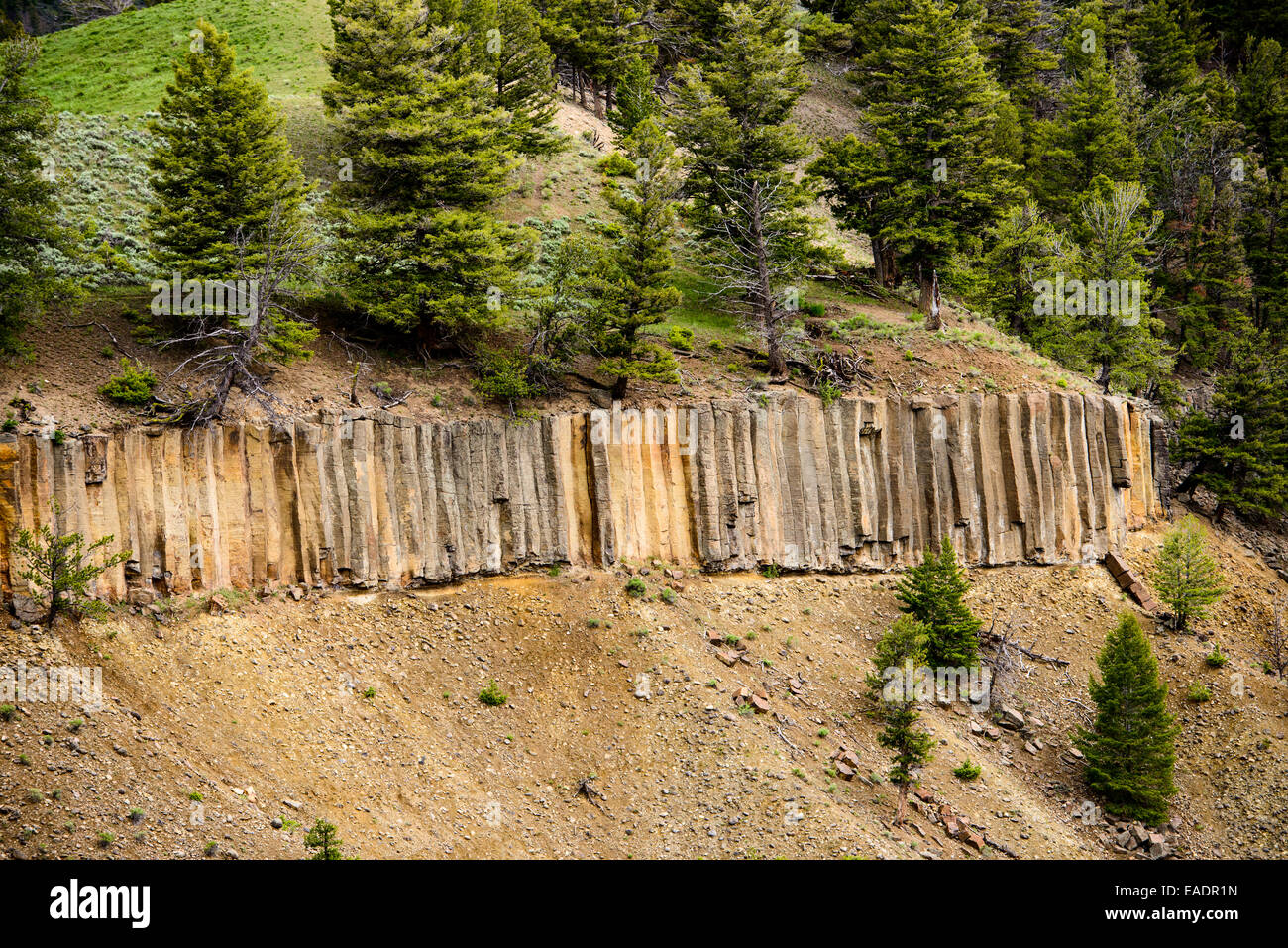 Le passage de la rivière Yellowstone de calcite Springs oublier dans le Parc National de Yellowstone. Banque D'Images