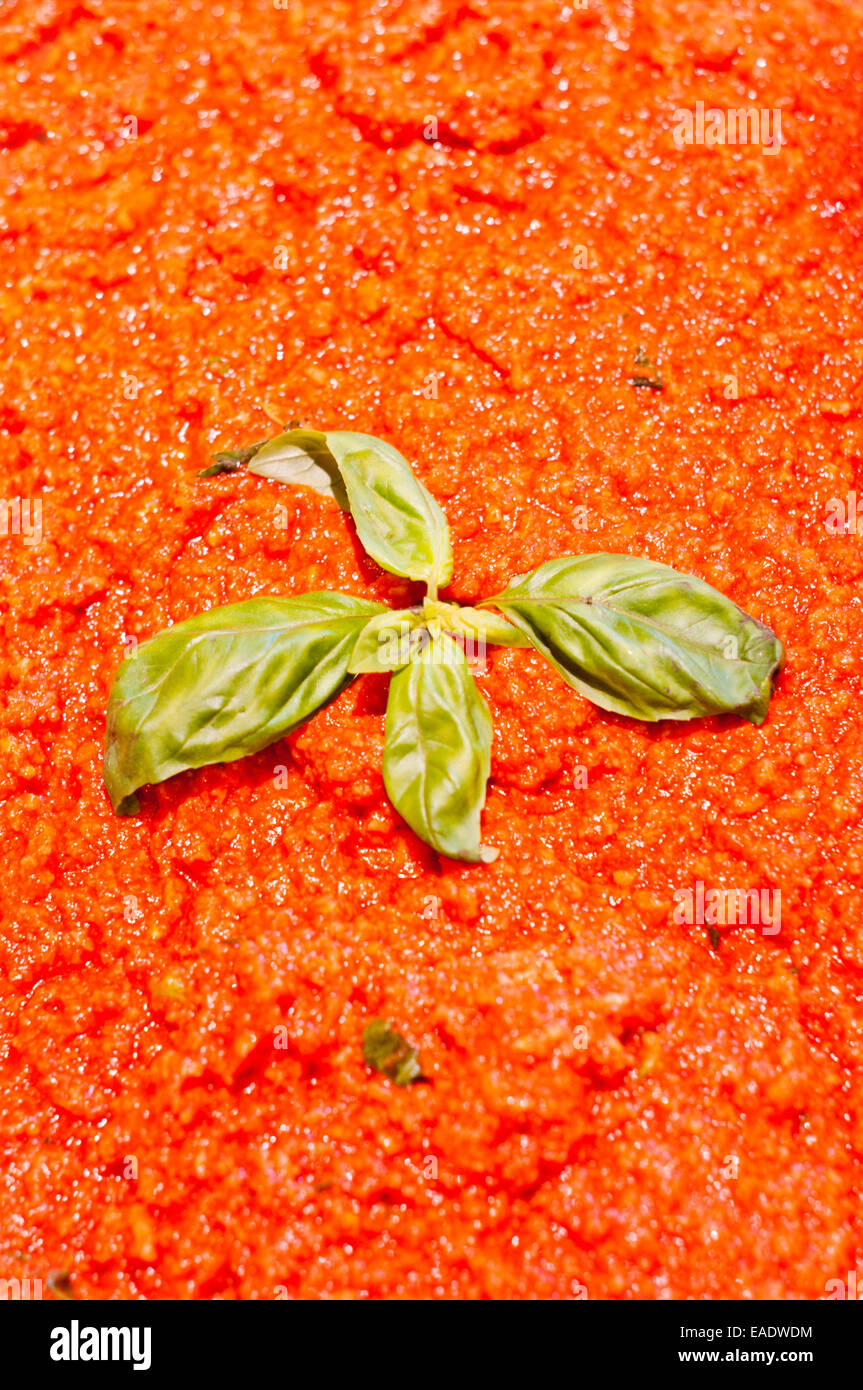 Pap avec tomate dans une recette traditionnelle toscane avec des feuilles de basilic Banque D'Images