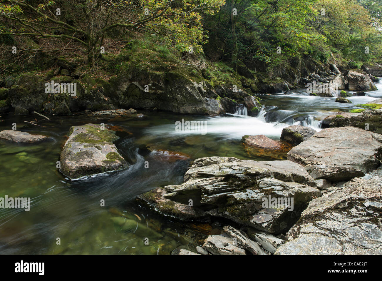 La rivière Glaslyn flux entre les arbres et les rochers de l'Aberglaslyn Pass in Snowdonia, Gwynedd, au nord du Pays de Galles Banque D'Images