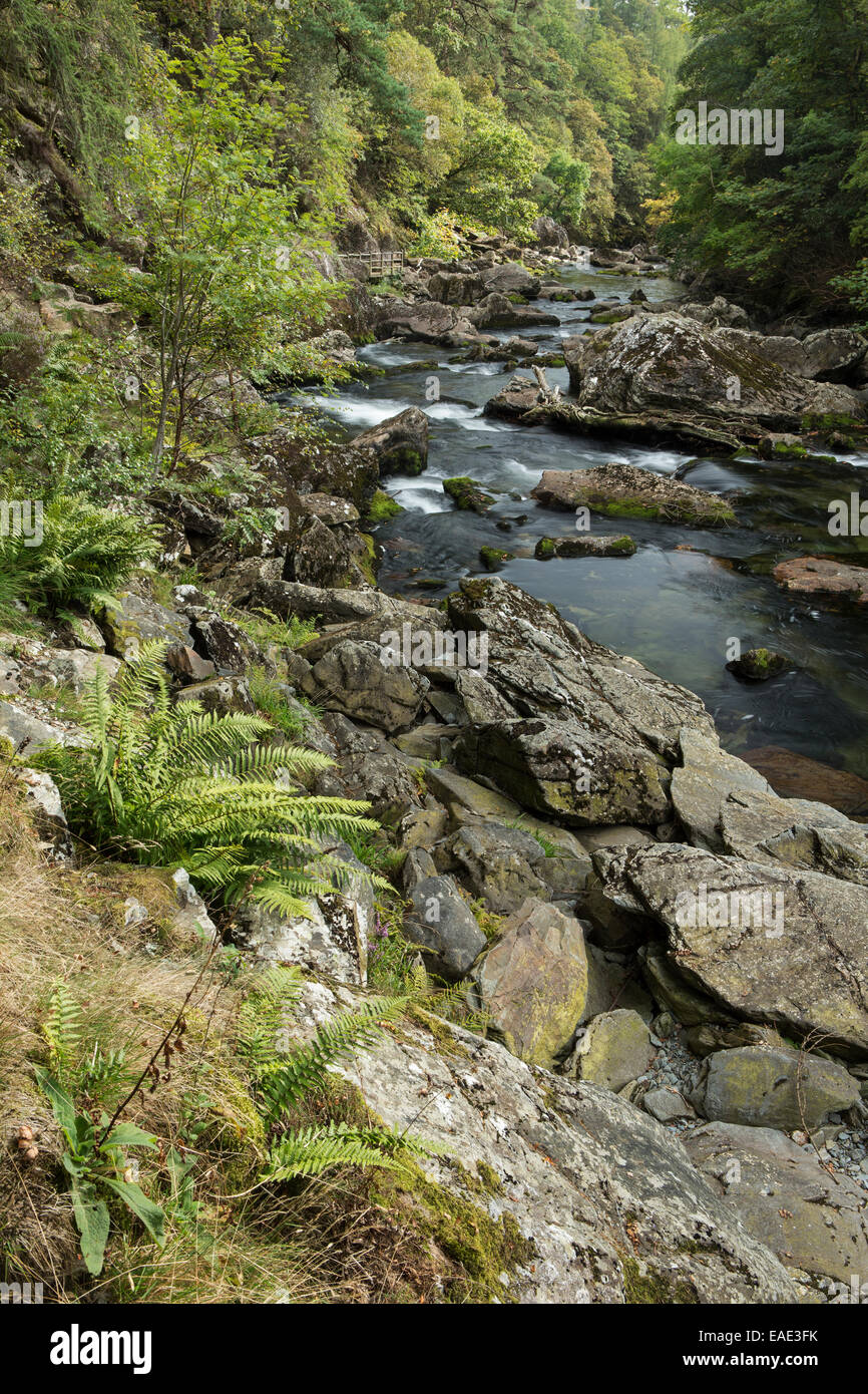La rivière Glaslyn flux entre les arbres et les rochers de l'Aberglaslyn Pass in Snowdonia, Gwynedd, au nord du Pays de Galles Banque D'Images