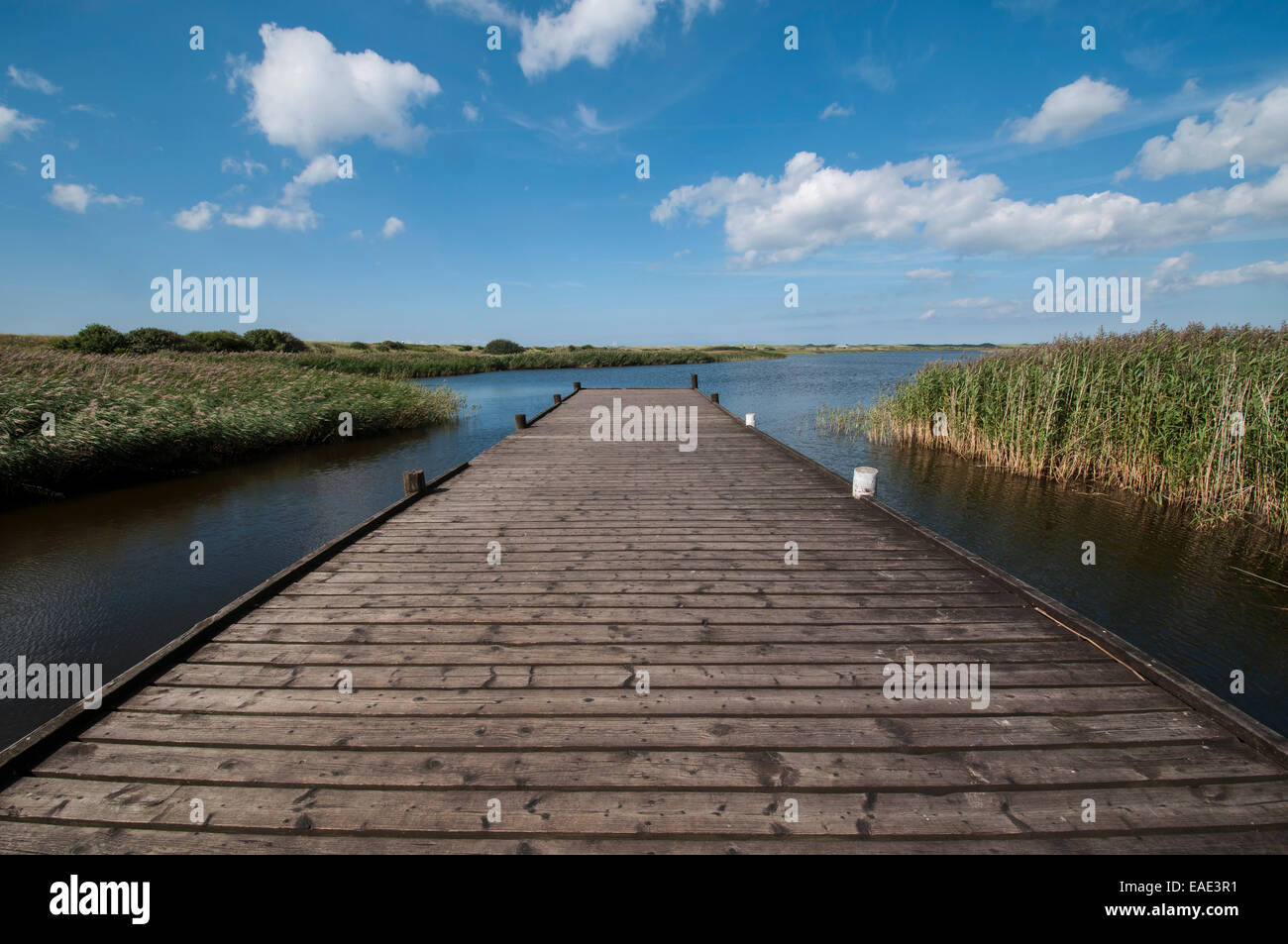 Embarcadère sur Ringkøbing Fjord, Henne Strand, Jutland, Danemark Banque D'Images