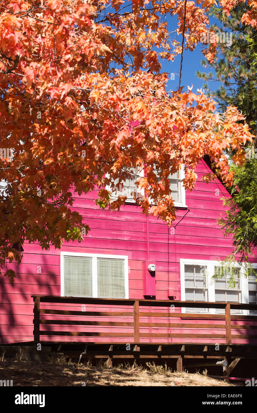 Couleurs d'automne autour d'une maison près de springville, Tule River, Californie, USA. Banque D'Images