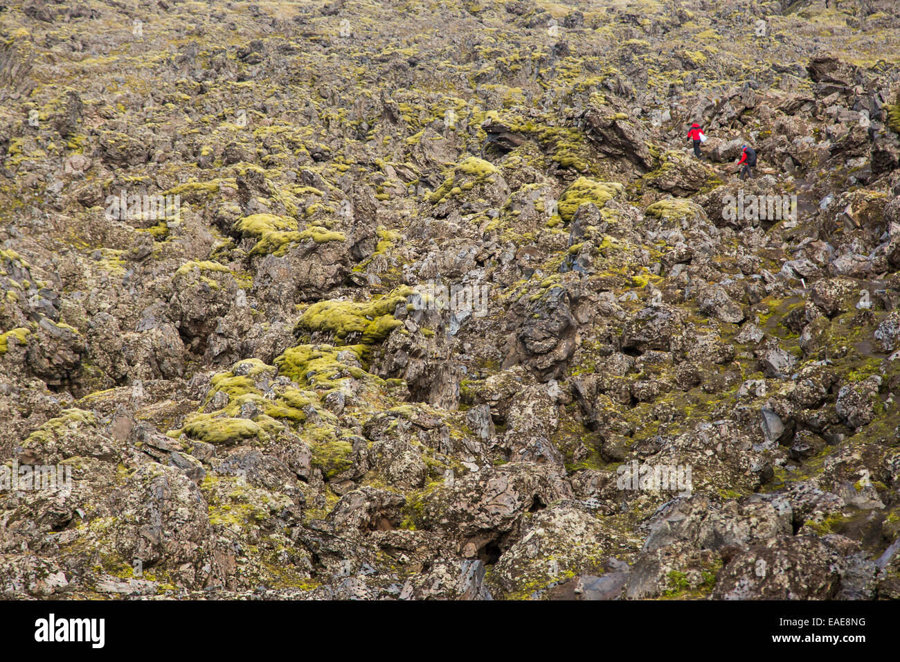 Les randonneurs dans la région de Landmannalaugar Landmannalaugar, Région du Sud, Islande Banque D'Images