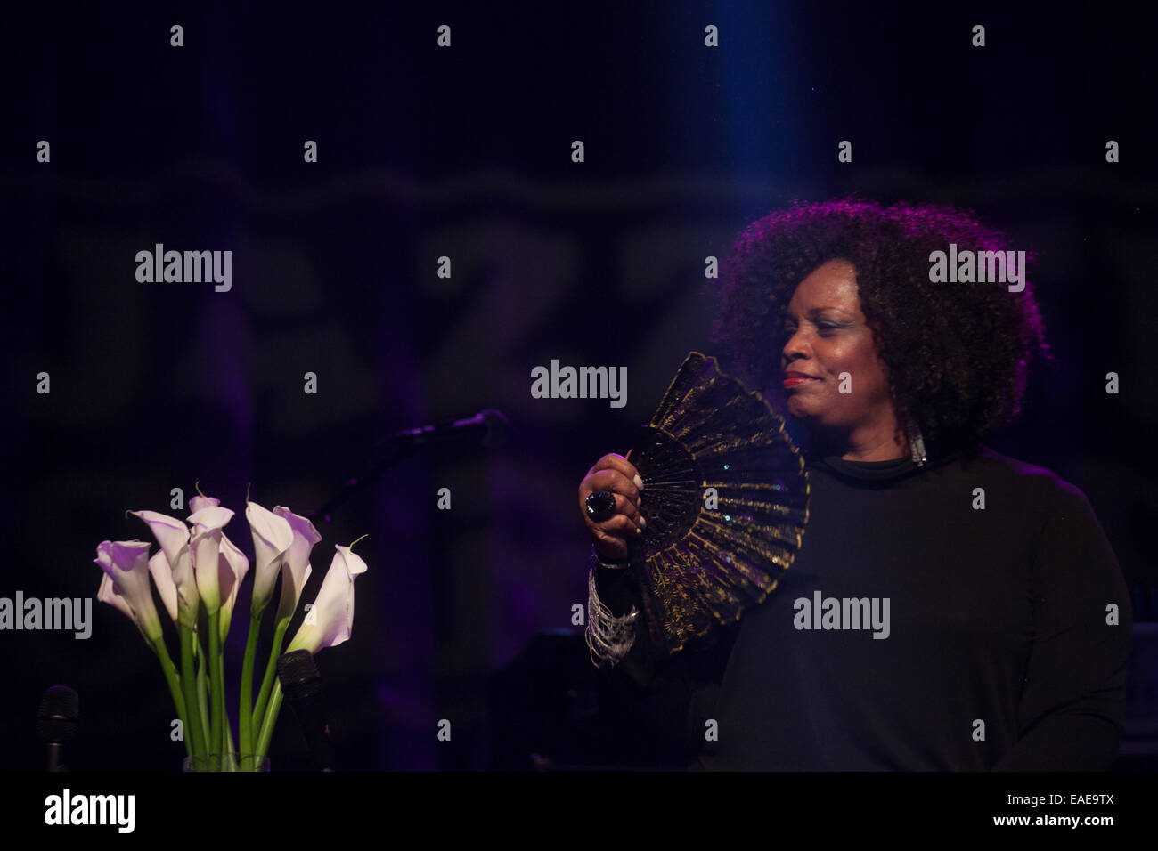 Dianne Reeves effectue au 18e Jazz Fest Sarajevo. Banque D'Images