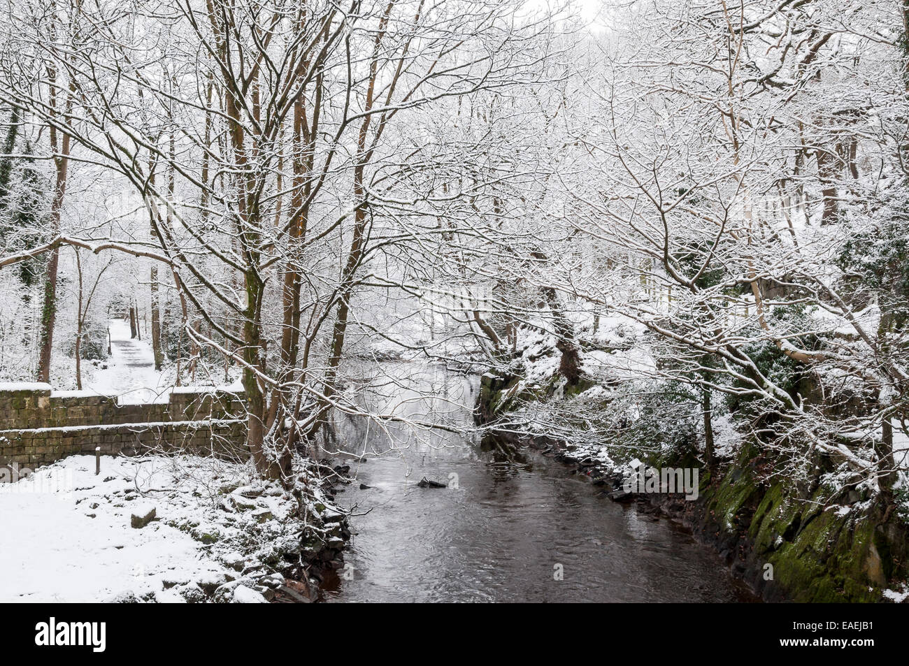 Neige scène près du village de Broadbottom dans Tameside. Arbres couverts de neige et sentier à côté de la rivière Etherow. Banque D'Images