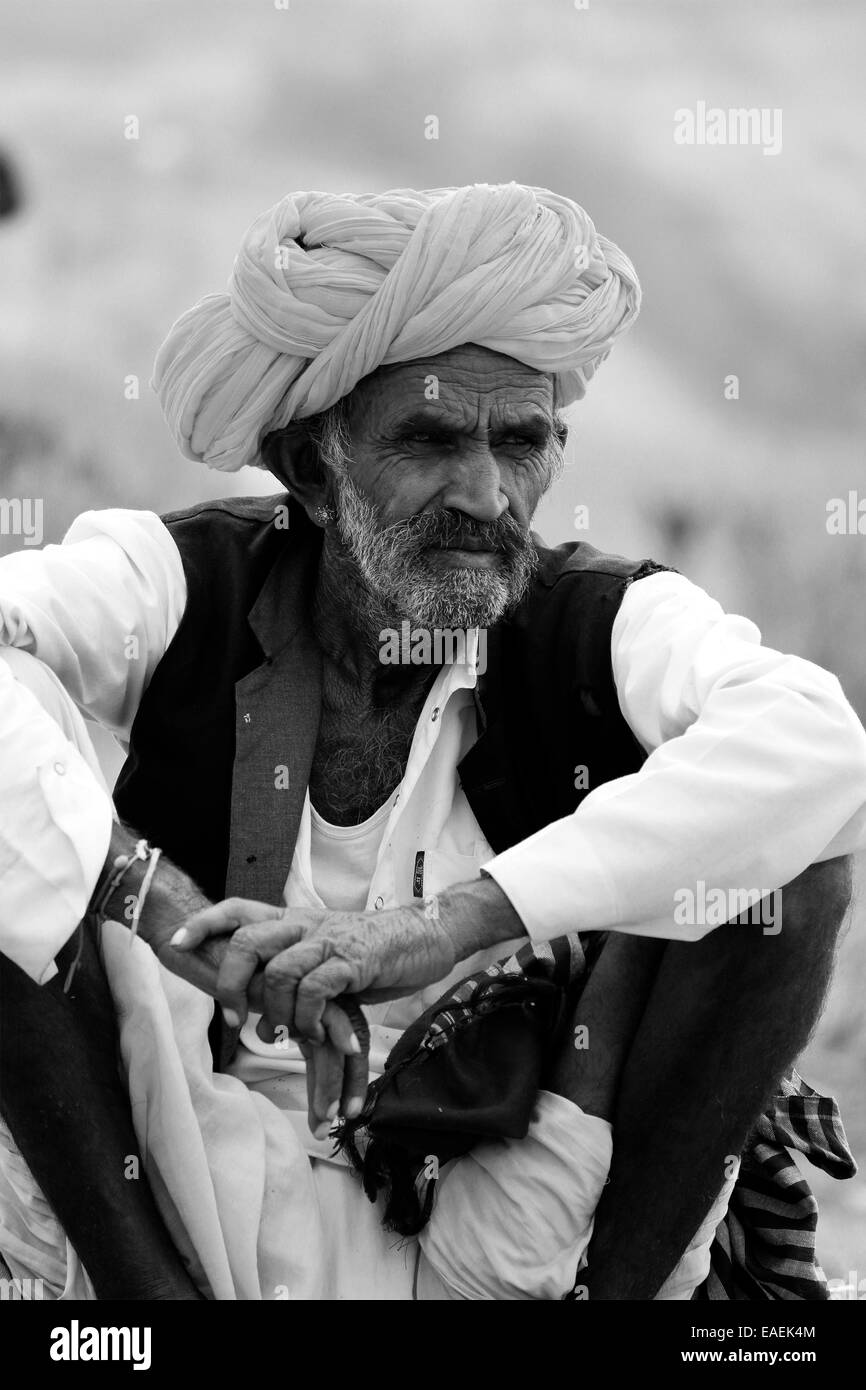 L'Asie, annuel, chameau chameau juste, commerçant, l'aube, d'oreille, juste, l'Inde, homme, man, matin, moustache, portrait, Pushkar, Rajasthan Banque D'Images