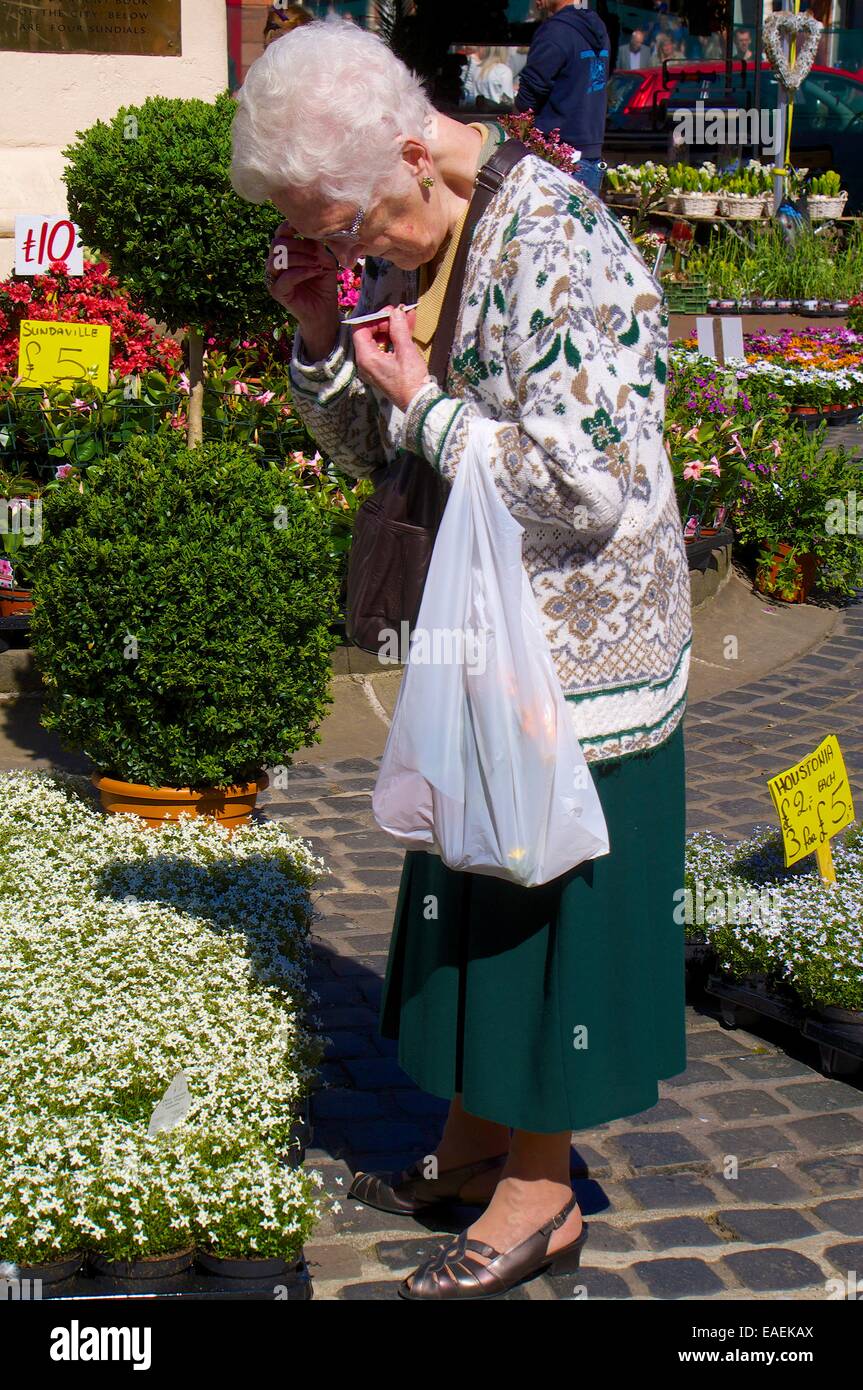 Vieille Femme à la recherche de plantes. Carlisle Easter marché continental. Le centre-ville de Carlisle, Carlisle, Cumbria, England, UK. Banque D'Images
