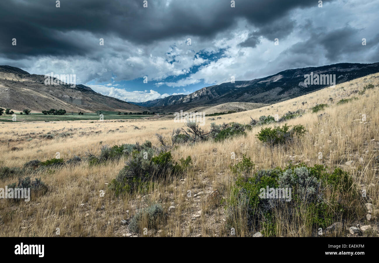 Le paysage vallonné du parc d'état de Buffalo Bill montrant les Rocheuses près de Cody, Wyoming, USA. Banque D'Images