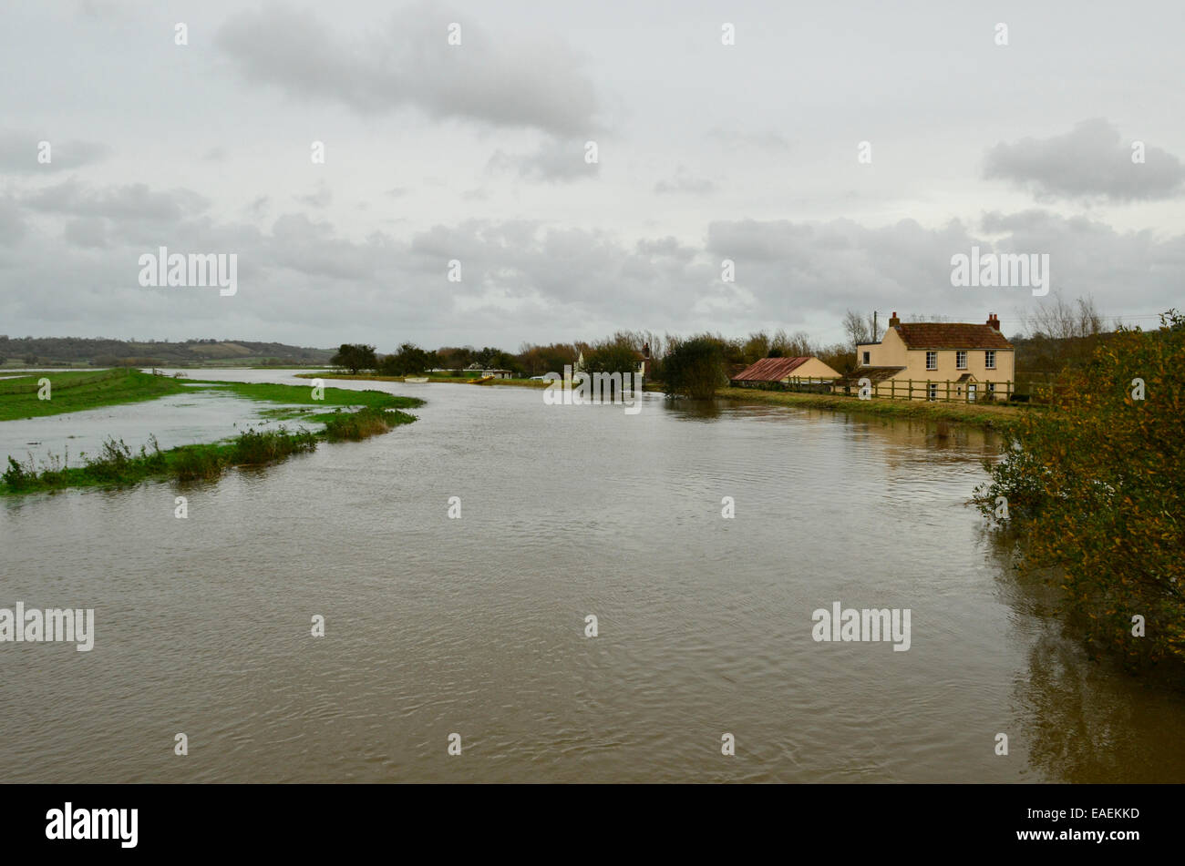 Burrowbridge, UK. 13 novembre, 2014. Météo France : rivière Parrett et Sowy où l'eau a éclaté ses banques. Crédit : Robert Timoney/Alamy Live News Banque D'Images